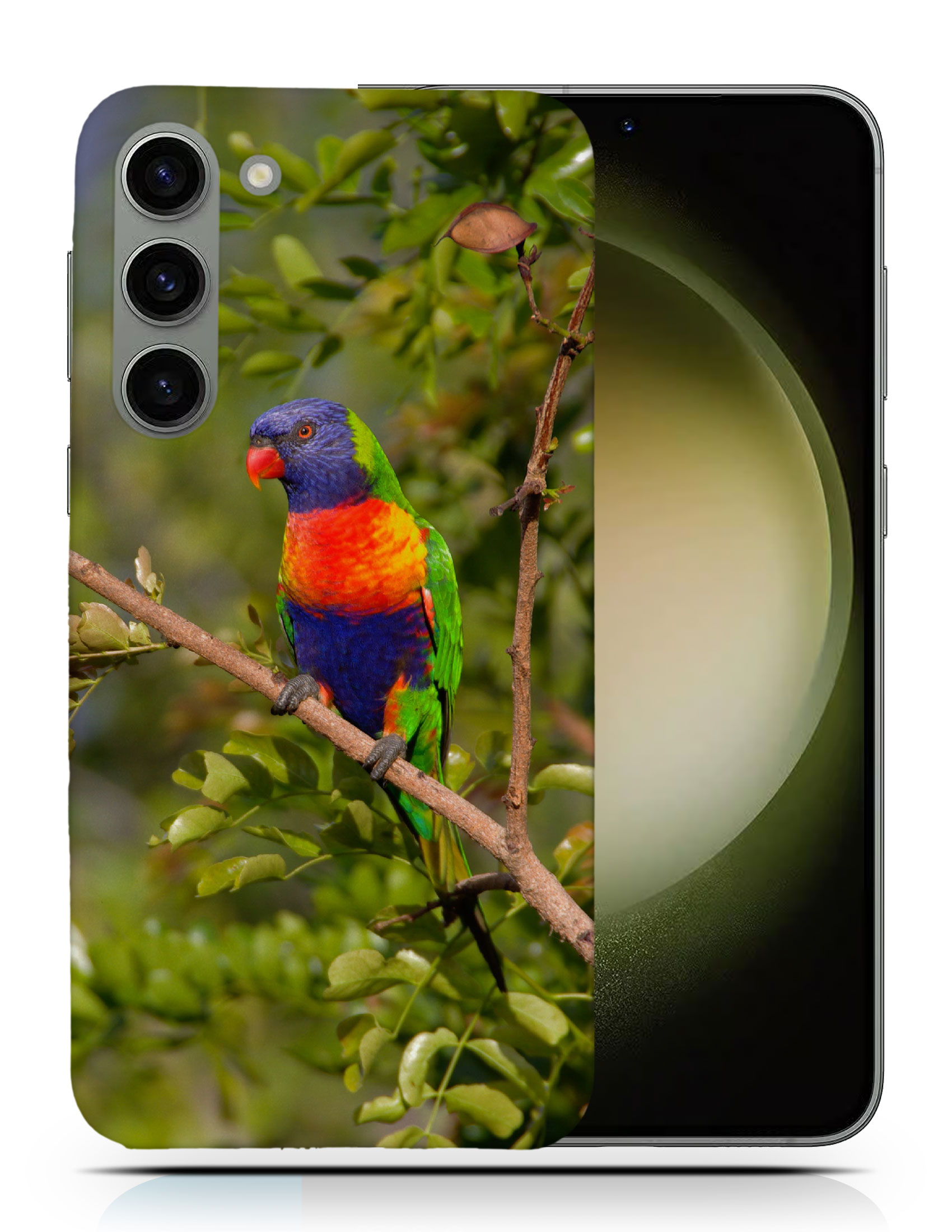 CASE COVER FOR SAMSUNG GALAXY|RAINBOW LORIKEET AUSTRALIAN BIRD - Picture 6 of 25