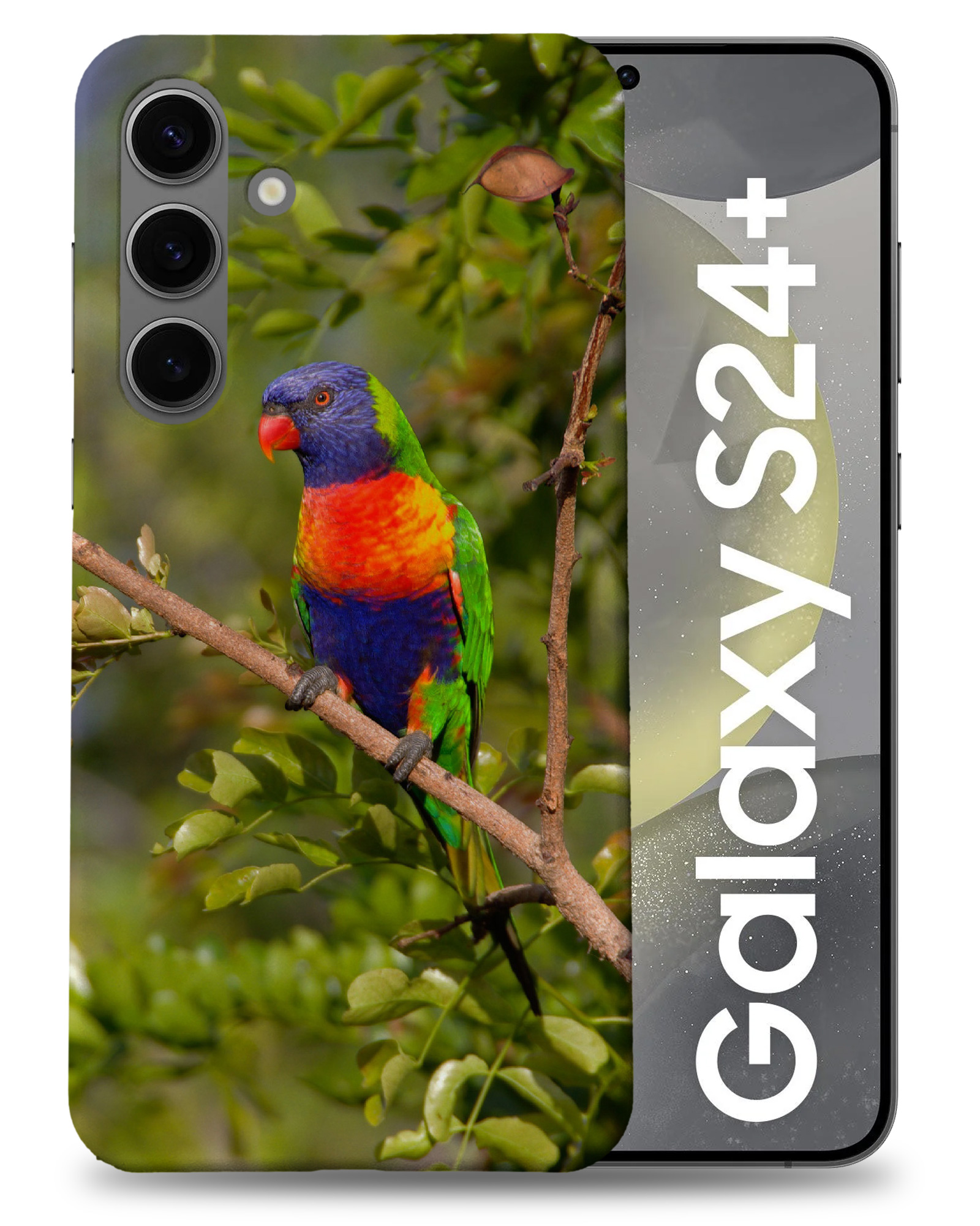 CASE COVER FOR SAMSUNG GALAXY|RAINBOW LORIKEET AUSTRALIAN BIRD - Picture 3 of 25