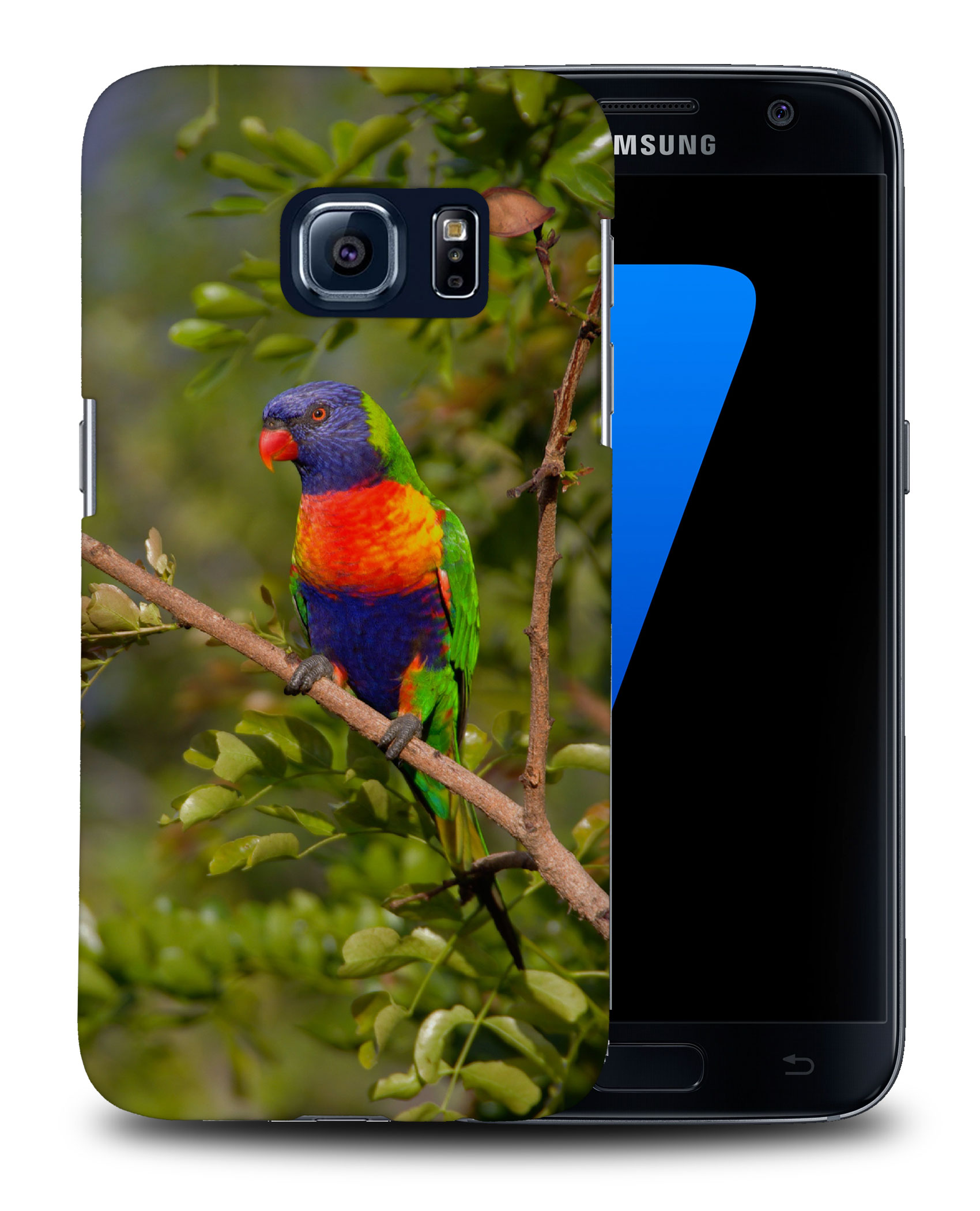CASE COVER FOR SAMSUNG GALAXY|RAINBOW LORIKEET AUSTRALIAN BIRD - Picture 25 of 25