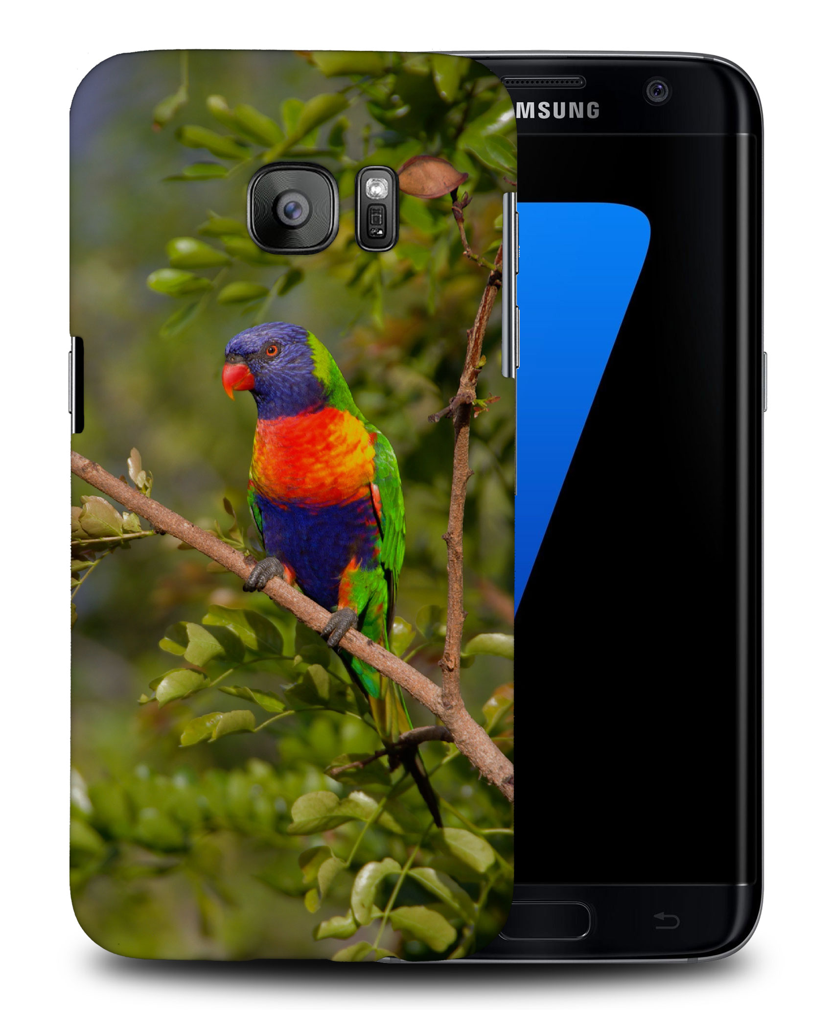 CASE COVER FOR SAMSUNG GALAXY|RAINBOW LORIKEET AUSTRALIAN BIRD - Picture 24 of 25