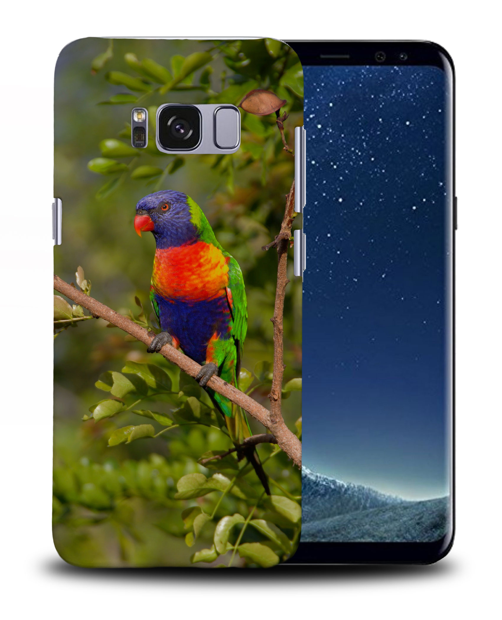 CASE COVER FOR SAMSUNG GALAXY|RAINBOW LORIKEET AUSTRALIAN BIRD - Picture 23 of 25