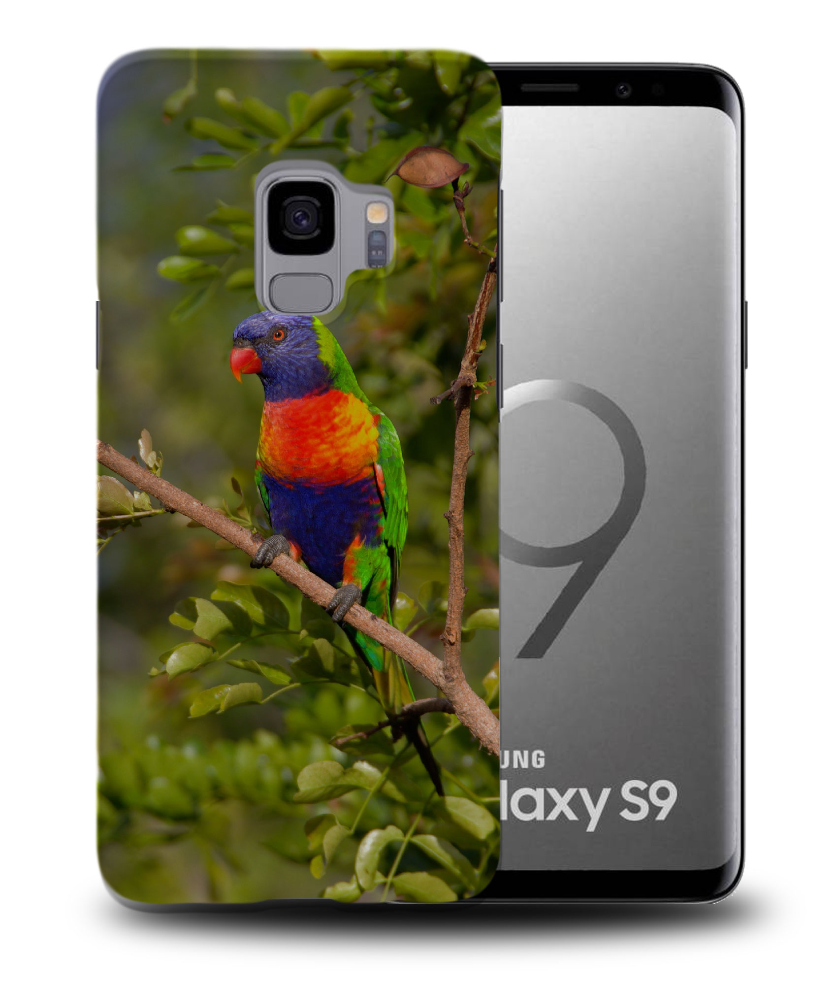 CASE COVER FOR SAMSUNG GALAXY|RAINBOW LORIKEET AUSTRALIAN BIRD - Picture 21 of 25