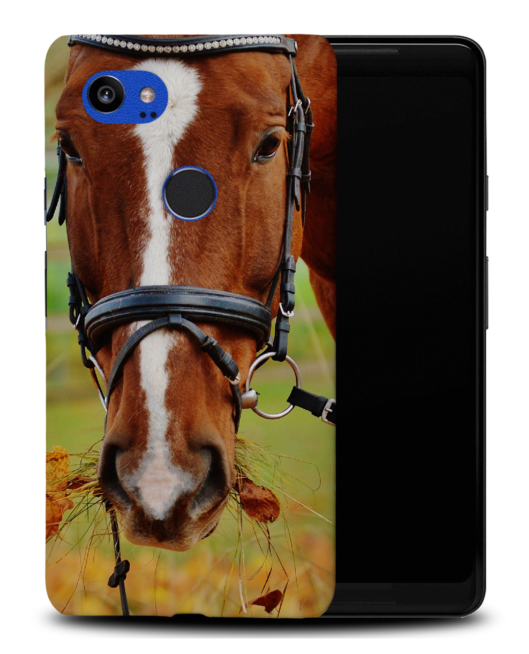 CASE COVER FOR GOOGLE PIXEL|BEAUTIFUL BROWN HORSE ANIMAL #5 - Picture 8 of 11