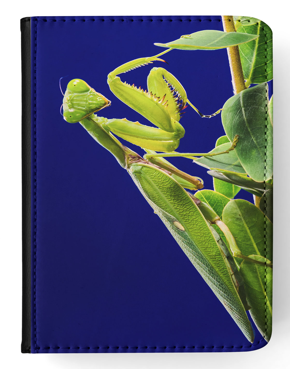 FUNDA FUNDA PARA IPAD DE APPLE|INSECTO MANTIS RELIGIOSA VERDE #2 - Imagen 22 de 55