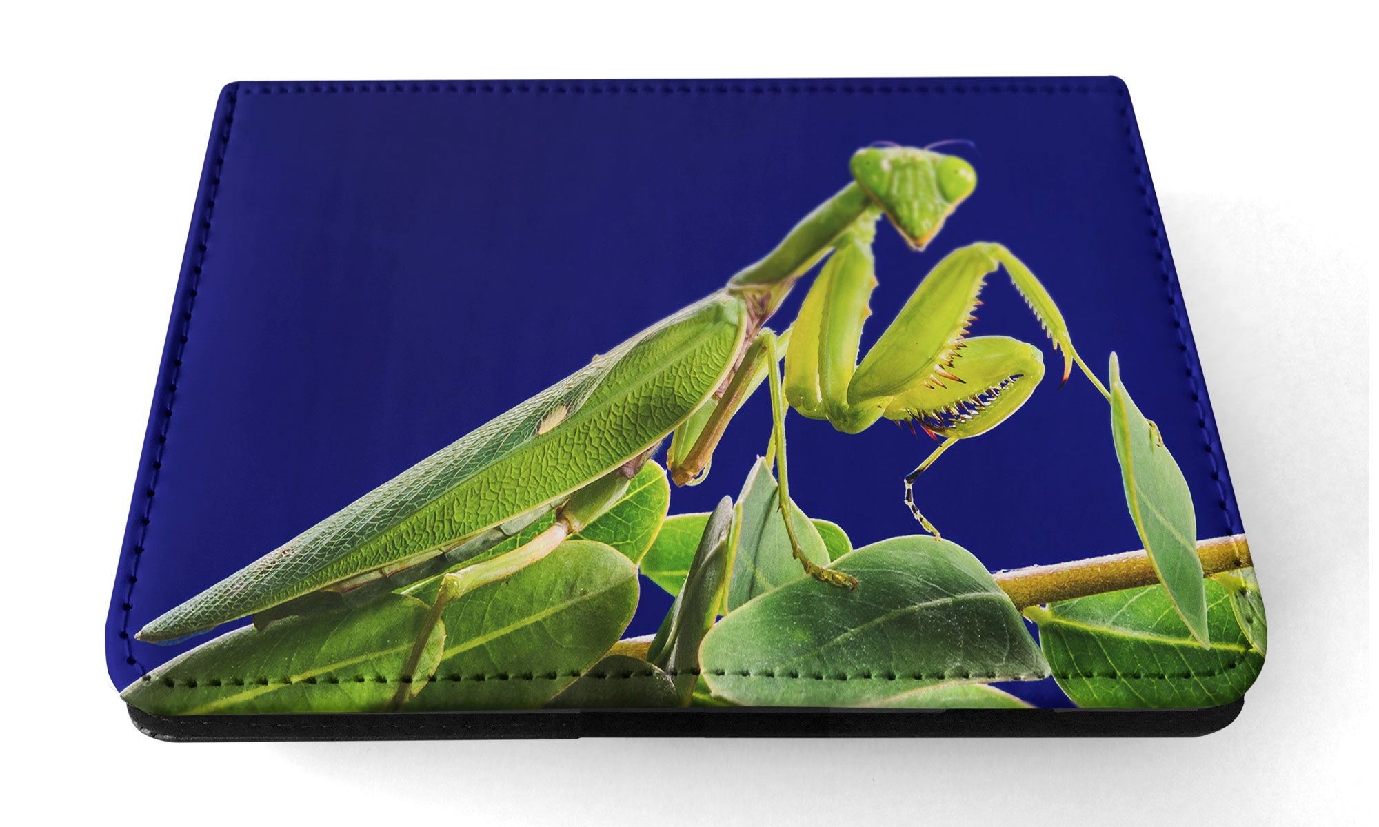 FUNDA FUNDA PARA IPAD DE APPLE|INSECTO MANTIS RELIGIOSA VERDE #2 - Imagen 23 de 55