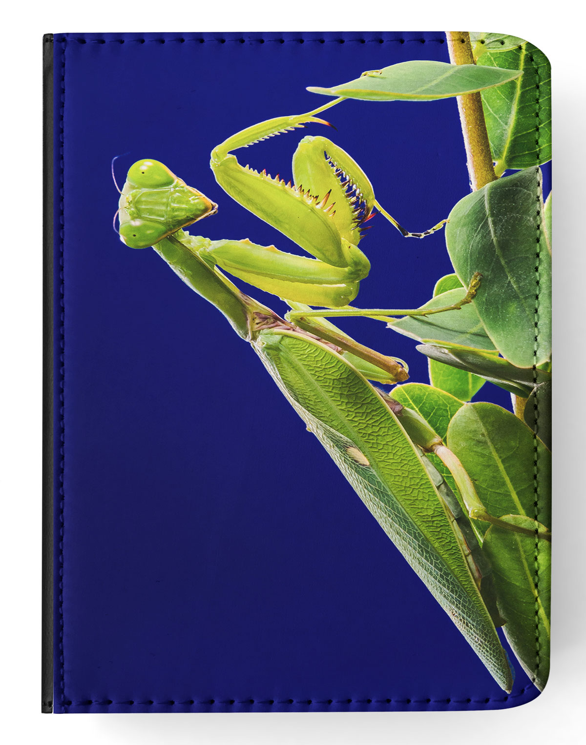 FUNDA FUNDA PARA IPAD DE APPLE|INSECTO MANTIS RELIGIOSA VERDE #2 - Imagen 12 de 55
