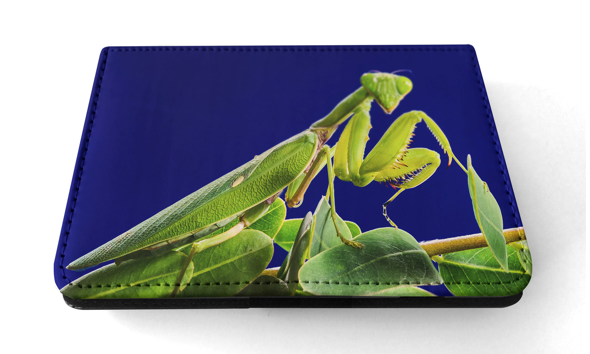 FUNDA FUNDA PARA IPAD DE APPLE|INSECTO MANTIS RELIGIOSA VERDE #2 - Imagen 13 de 55