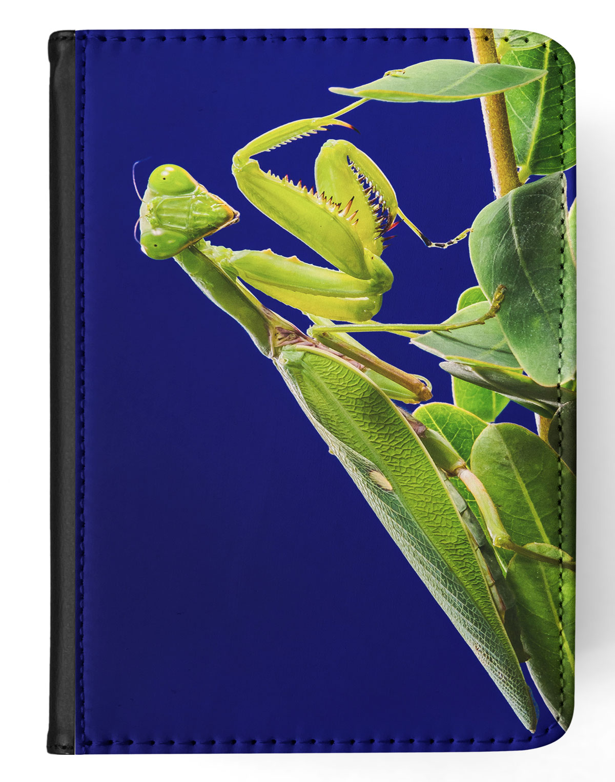 FUNDA FUNDA PARA IPAD DE APPLE|INSECTO MANTIS RELIGIOSA VERDE #2 - Imagen 37 de 55