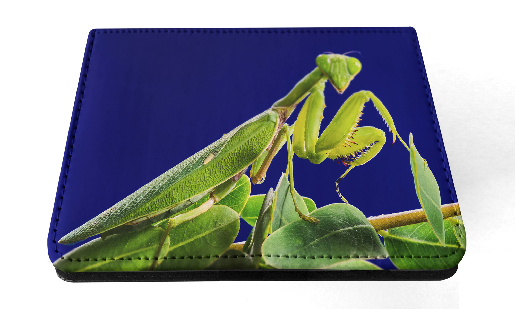 FUNDA FUNDA PARA IPAD DE APPLE|INSECTO MANTIS RELIGIOSA VERDE #2 - Imagen 38 de 55