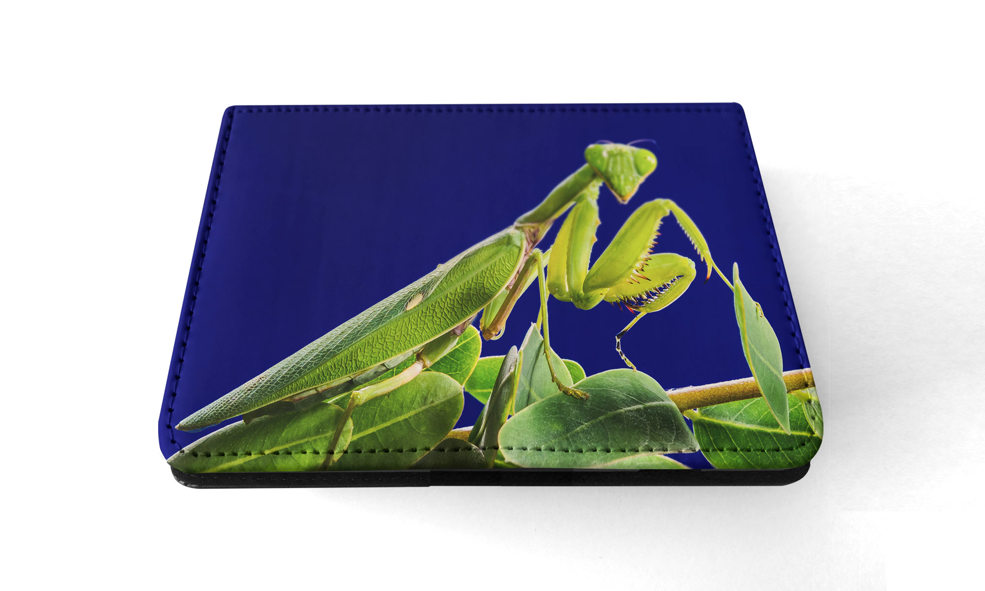 FUNDA FUNDA PARA IPAD DE APPLE|INSECTO MANTIS RELIGIOSA VERDE #2 - Imagen 8 de 55