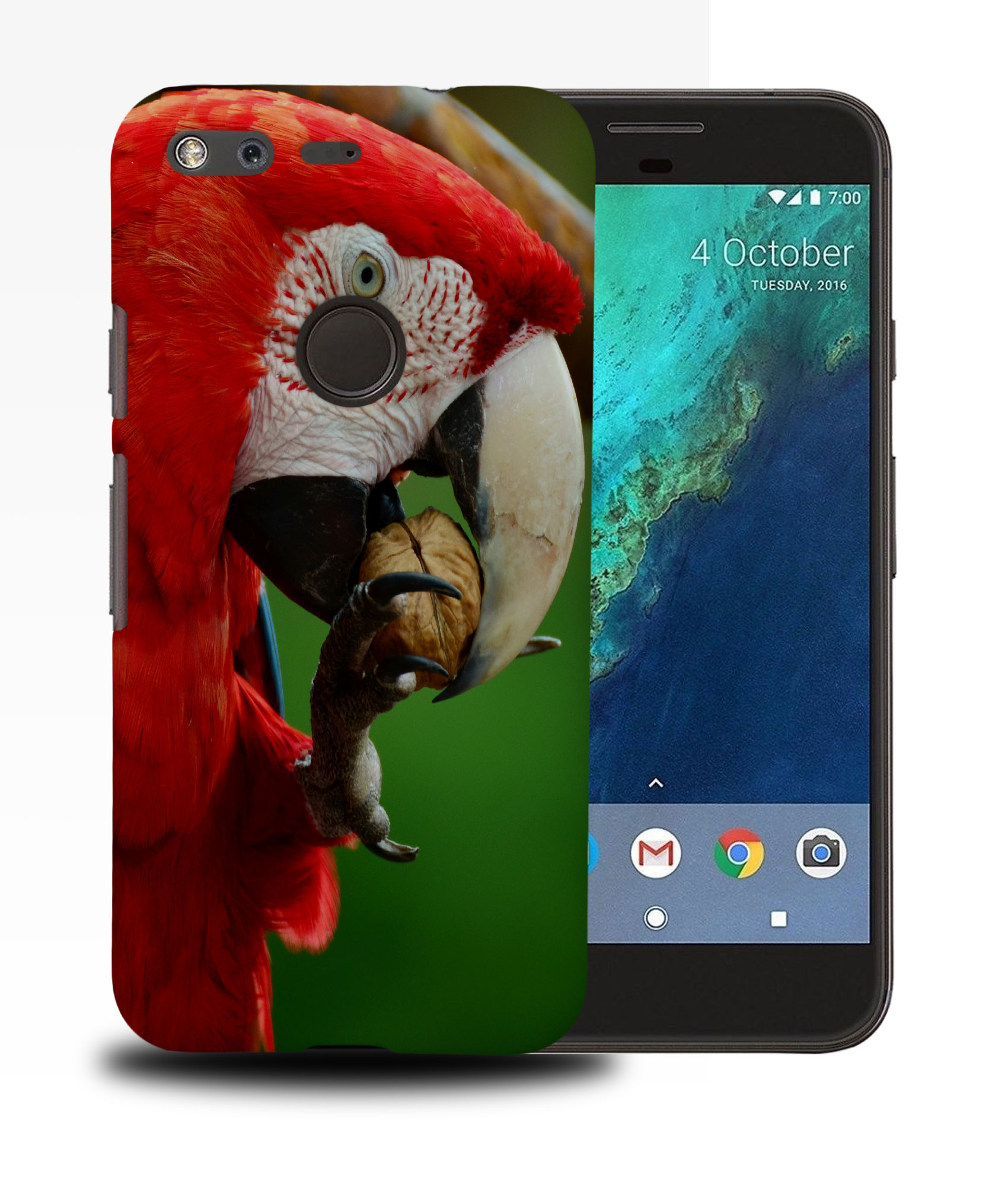 CASE COVER FOR GOOGLE PIXEL|CUTE ADORABLE PARROT BIRD PET #2 - Foto 11 di 11