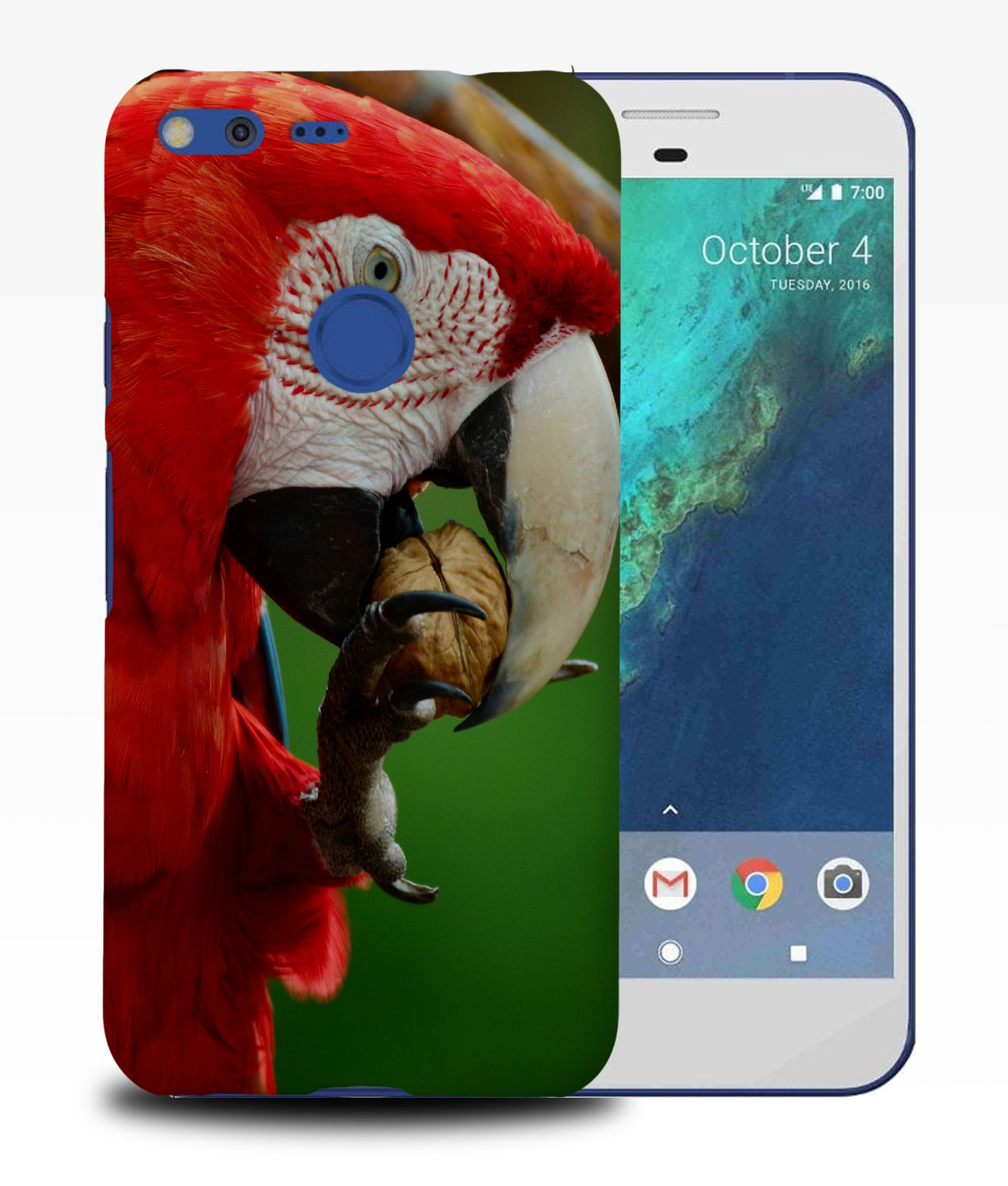 CASE COVER FOR GOOGLE PIXEL|CUTE ADORABLE PARROT BIRD PET #2 - Foto 10 di 11