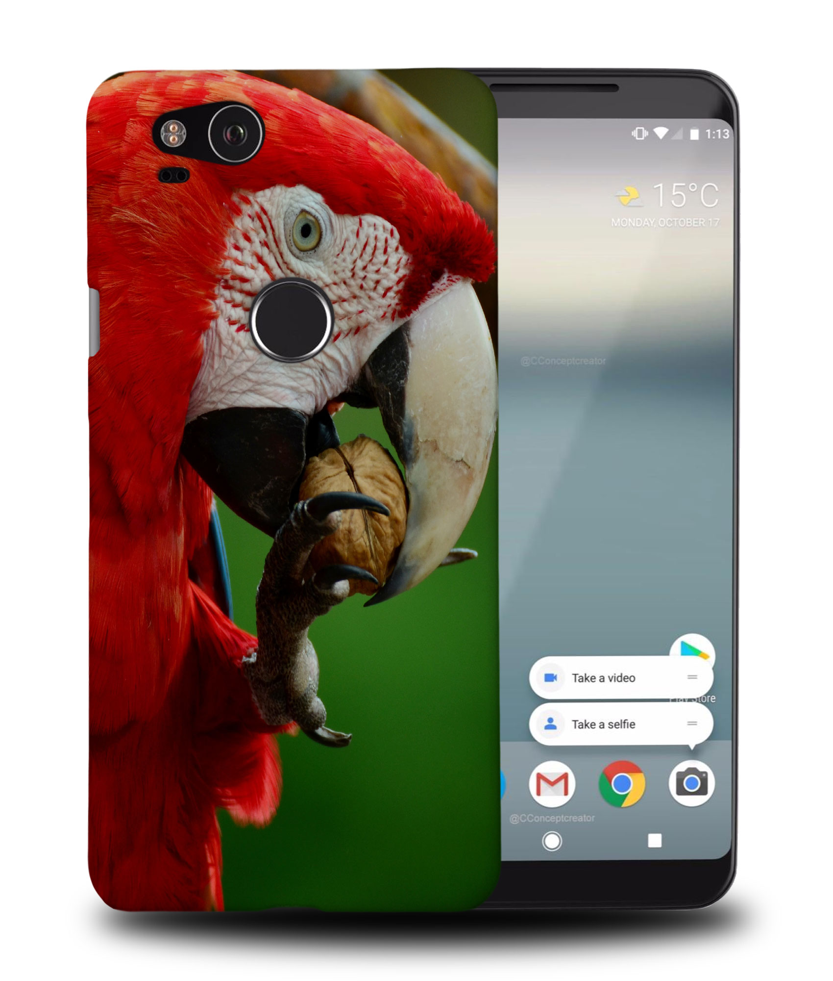 CASE COVER FOR GOOGLE PIXEL|CUTE ADORABLE PARROT BIRD PET #2 - Foto 9 di 11
