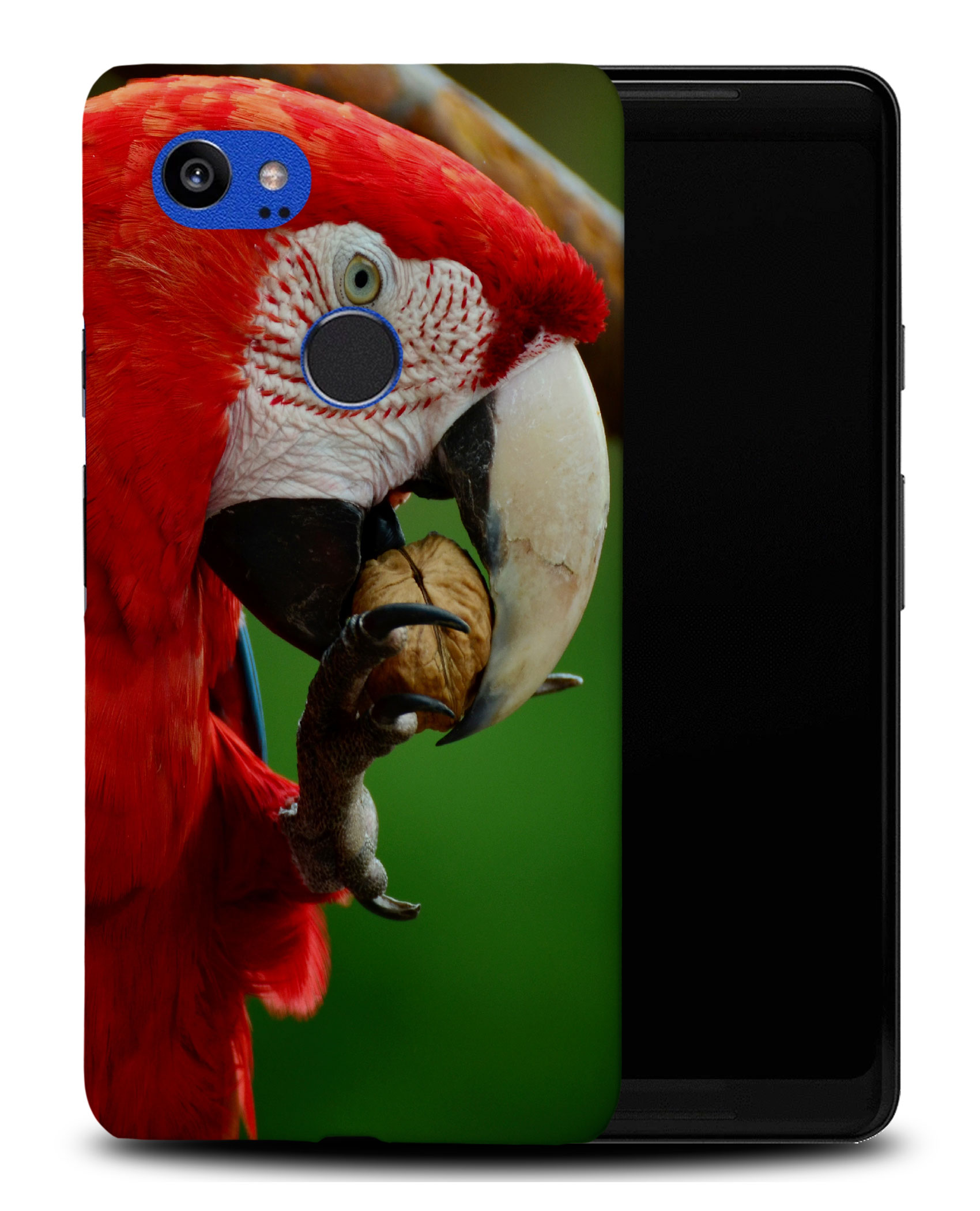 CASE COVER FOR GOOGLE PIXEL|CUTE ADORABLE PARROT BIRD PET #2 - Foto 8 di 11