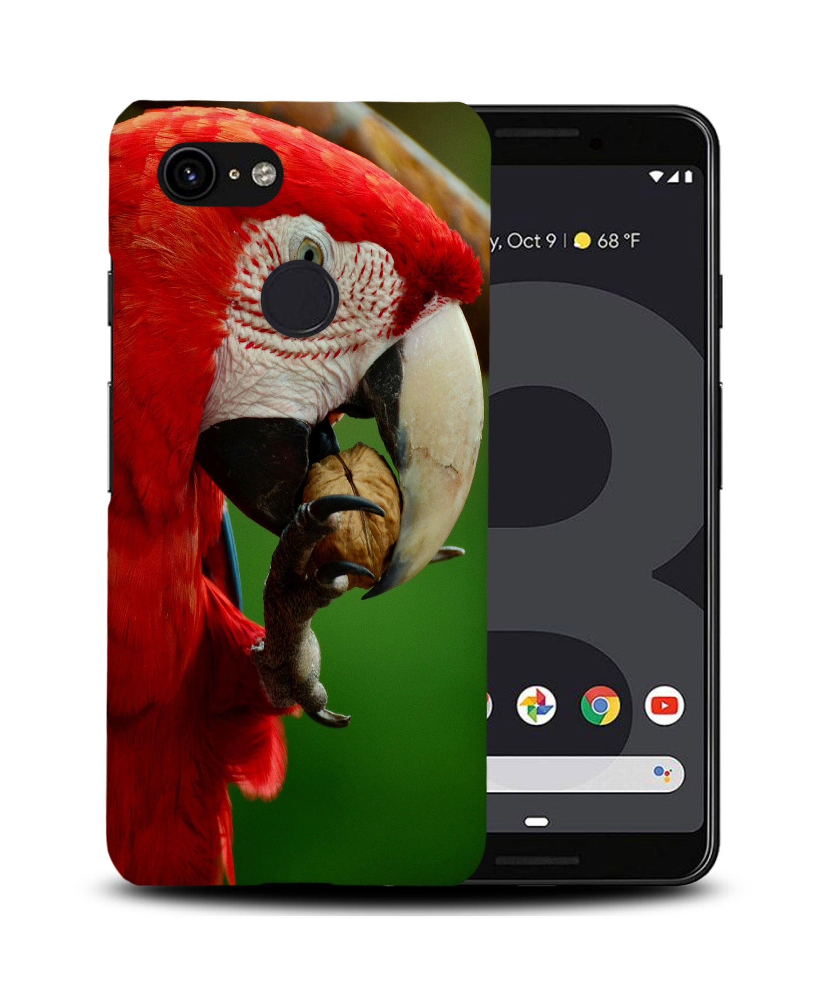 CASE COVER FOR GOOGLE PIXEL|CUTE ADORABLE PARROT BIRD PET #2 - Foto 7 di 11