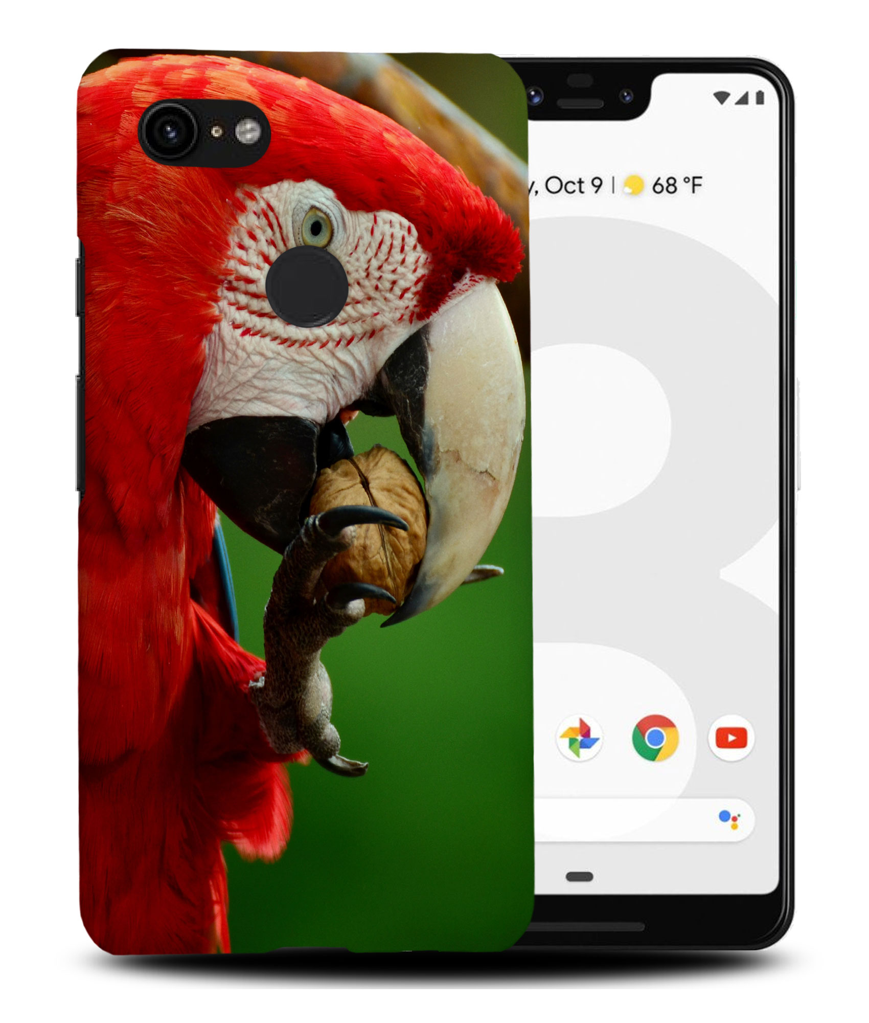 CASE COVER FOR GOOGLE PIXEL|CUTE ADORABLE PARROT BIRD PET #2 - Foto 6 di 11