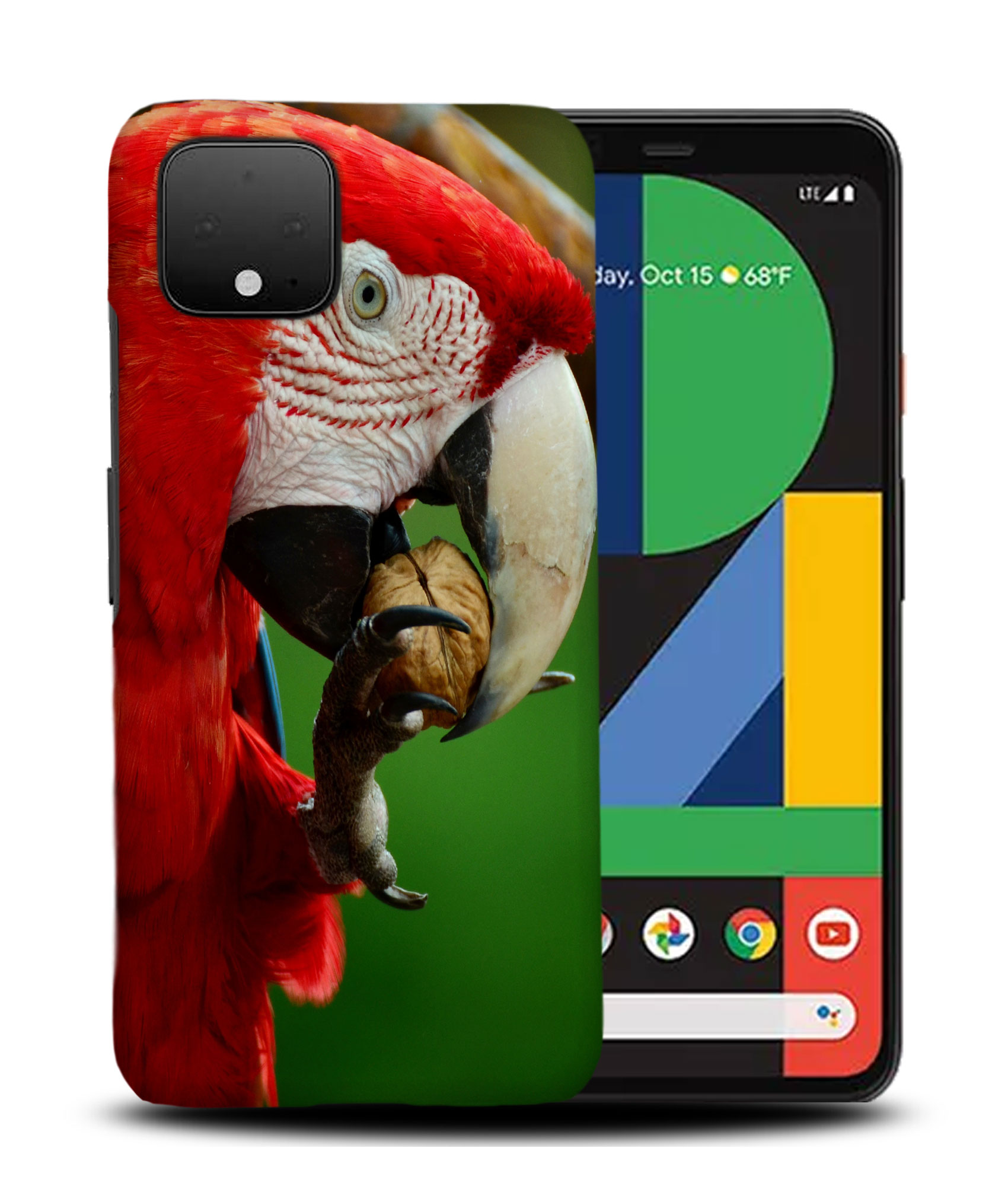 CASE COVER FOR GOOGLE PIXEL|CUTE ADORABLE PARROT BIRD PET #2 - Foto 5 di 11