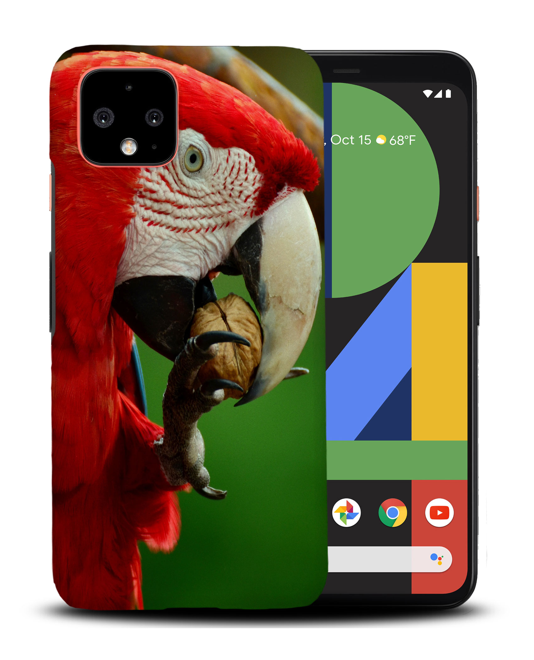 CASE COVER FOR GOOGLE PIXEL|CUTE ADORABLE PARROT BIRD PET #2 - Foto 4 di 11