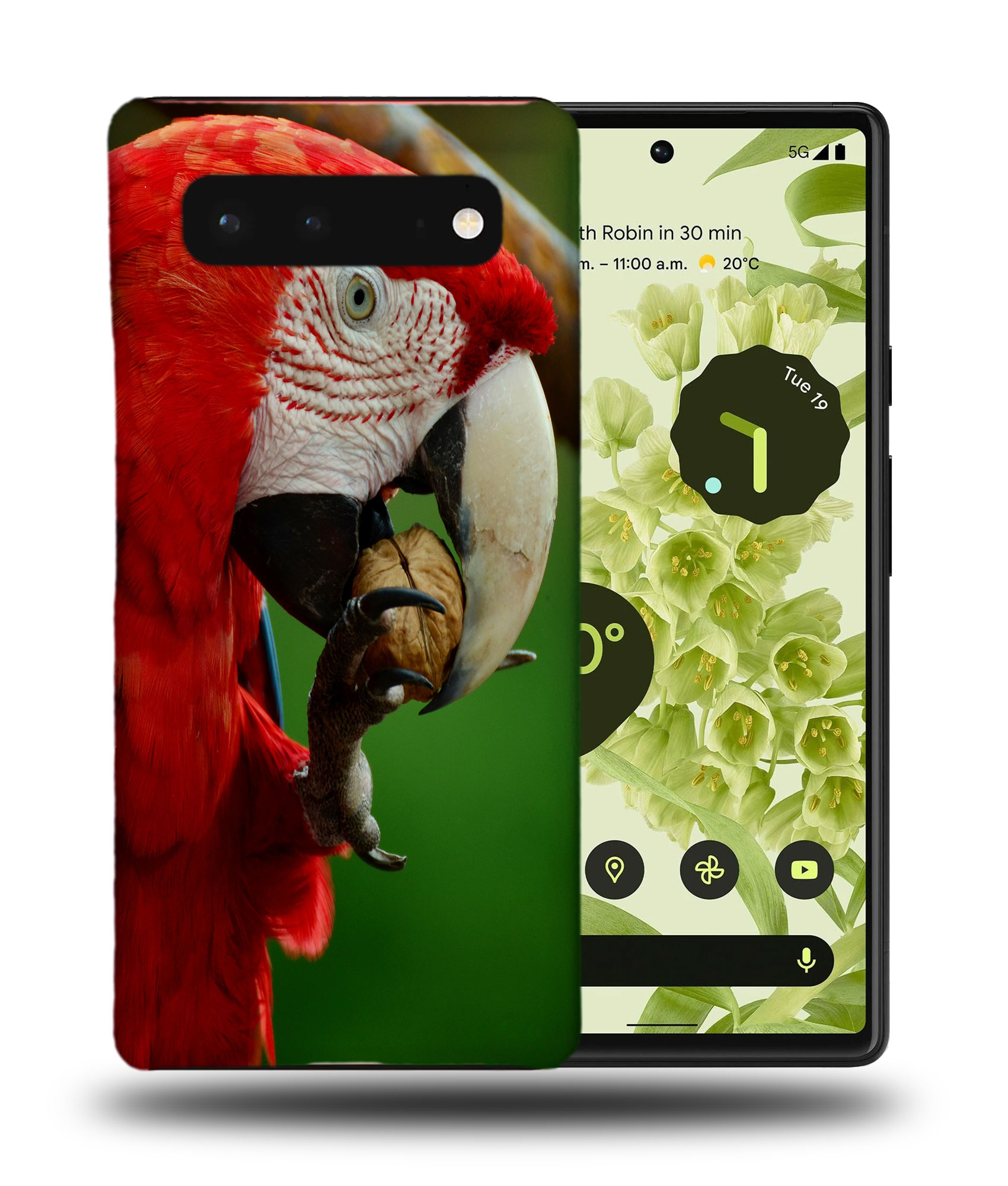 CASE COVER FOR GOOGLE PIXEL|CUTE ADORABLE PARROT BIRD PET #2 - Foto 3 di 11