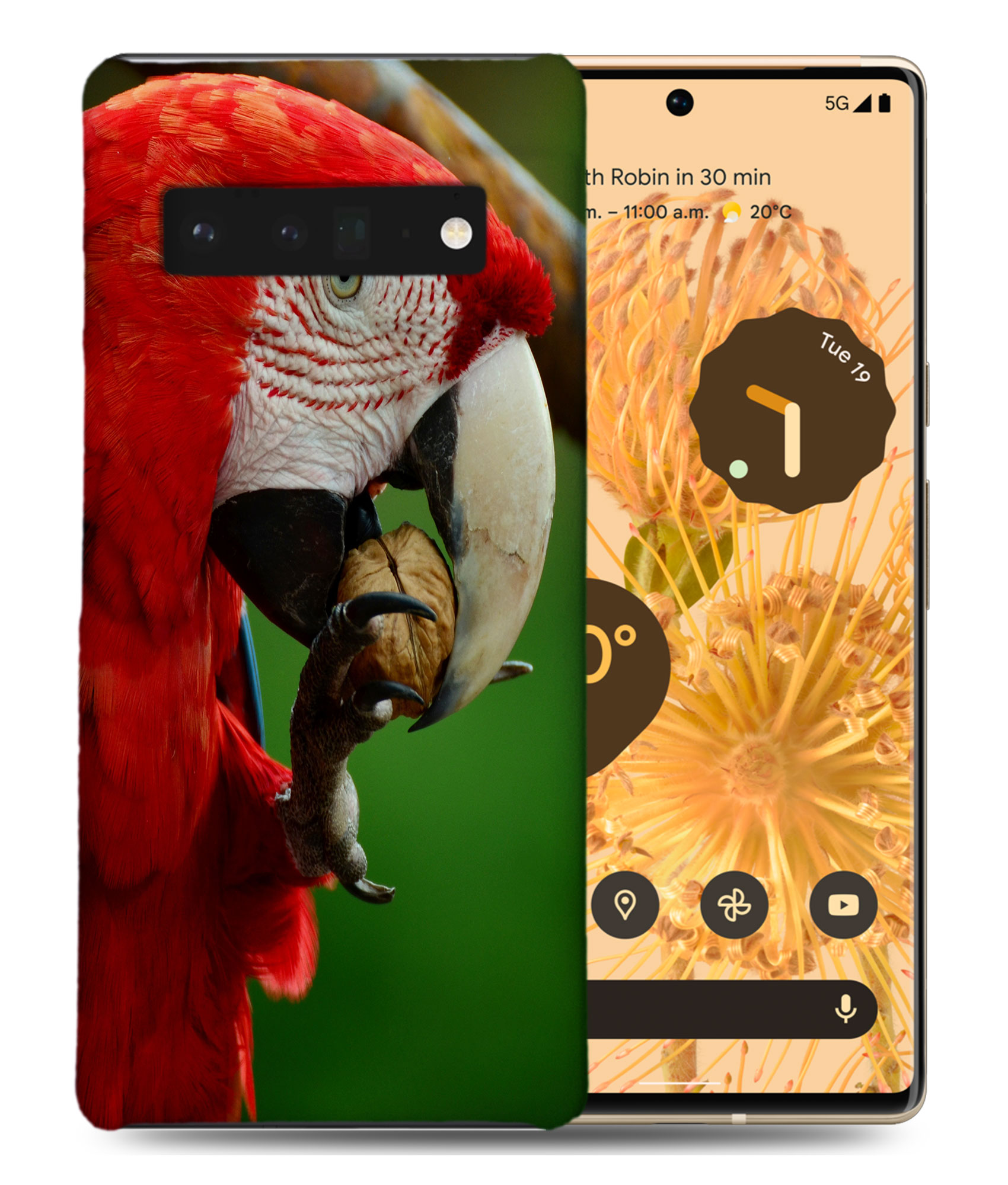 CASE COVER FOR GOOGLE PIXEL|CUTE ADORABLE PARROT BIRD PET #2 - Foto 2 di 11