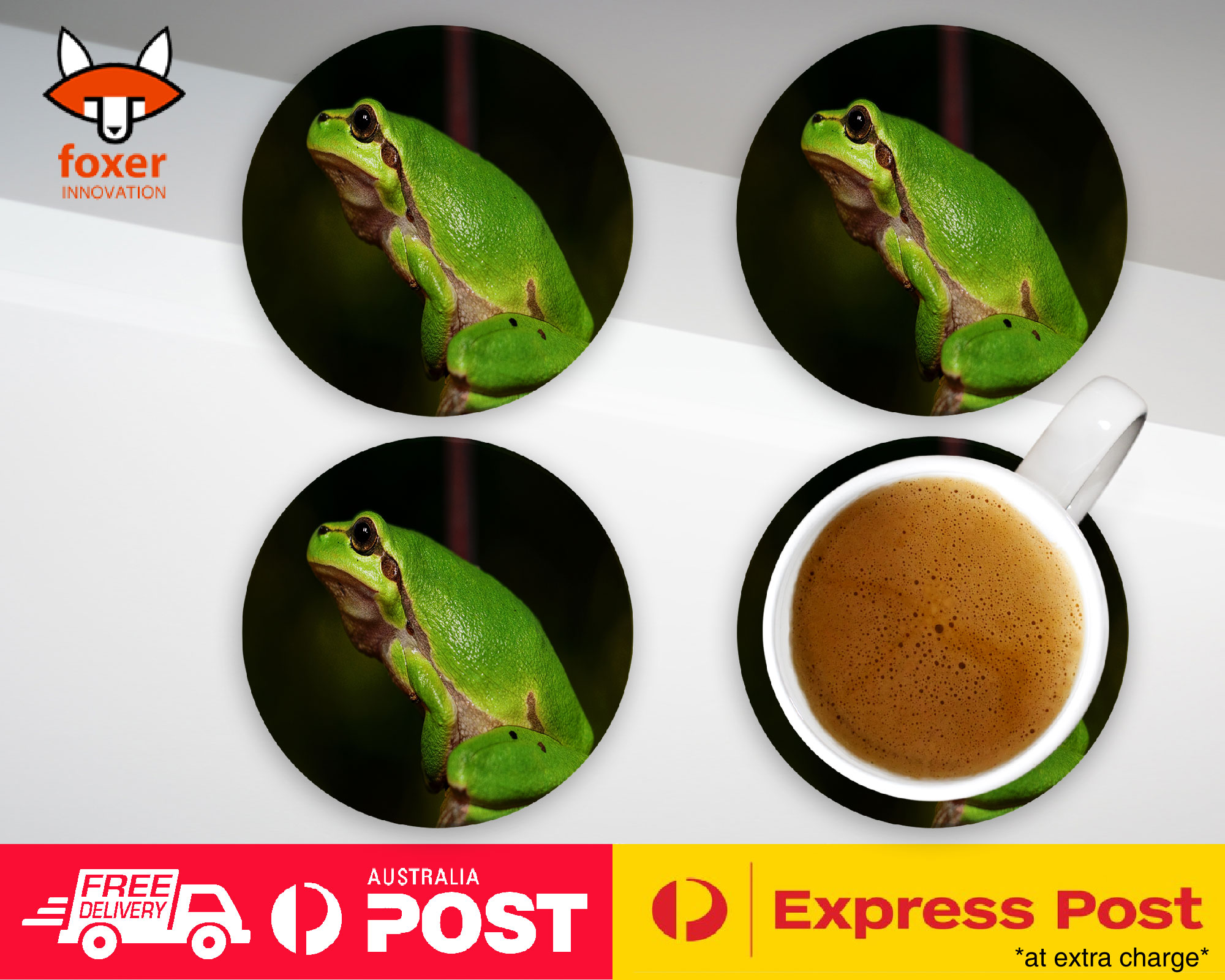 COASTER COFFEE DRINKING MAT|FROG TOAD AMPHIBIANS REPTILE #13