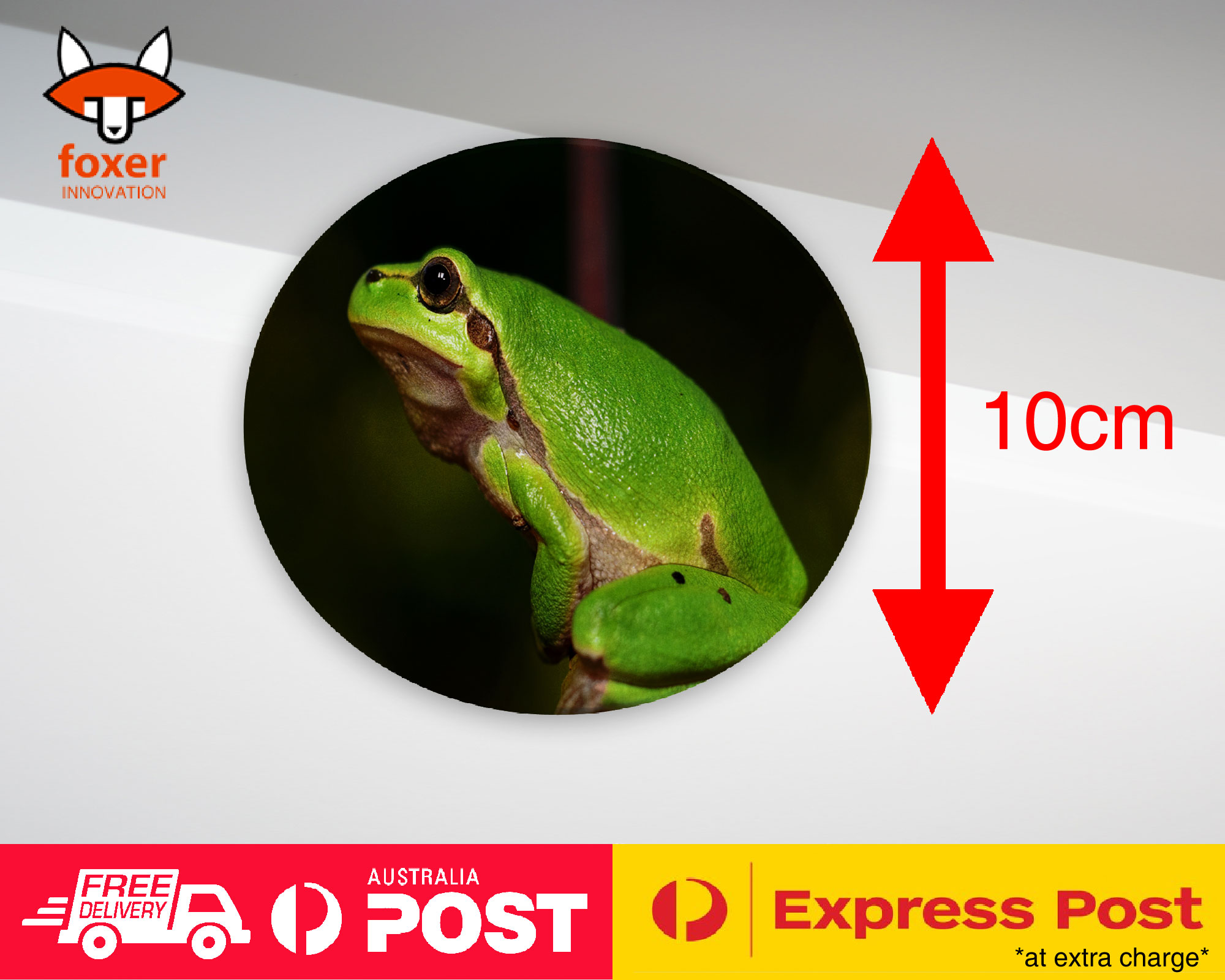 COASTER COFFEE DRINKING MAT|FROG TOAD AMPHIBIANS REPTILE #13