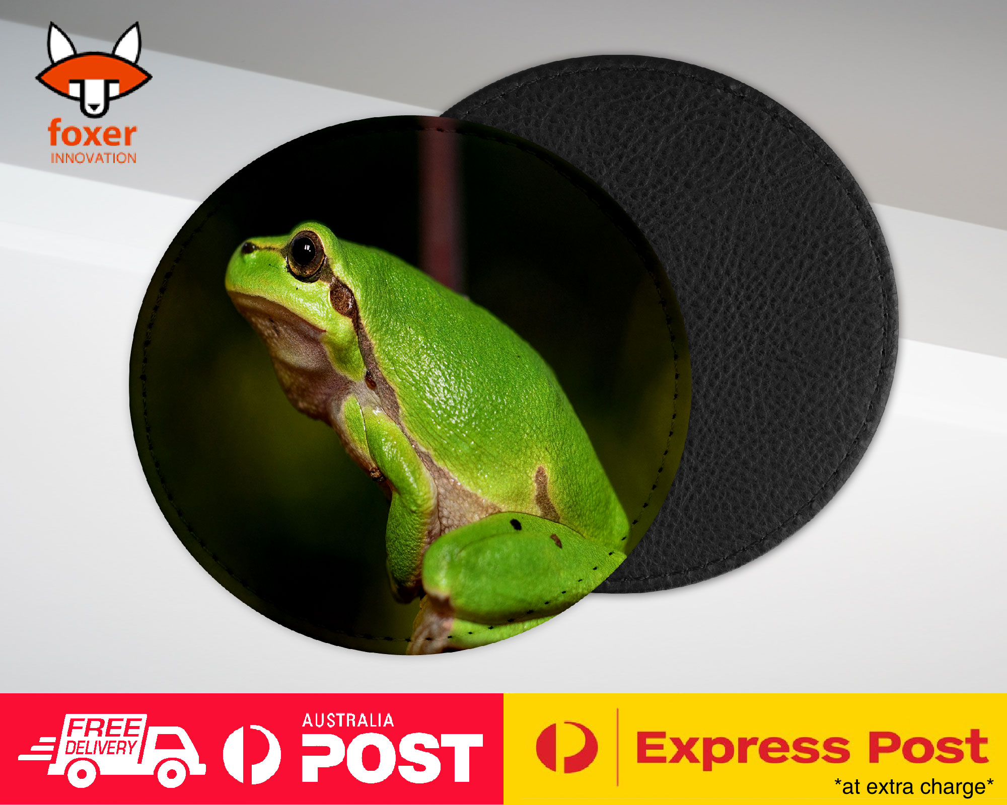 COASTER COFFEE DRINKING MAT|FROG TOAD AMPHIBIANS REPTILE #13