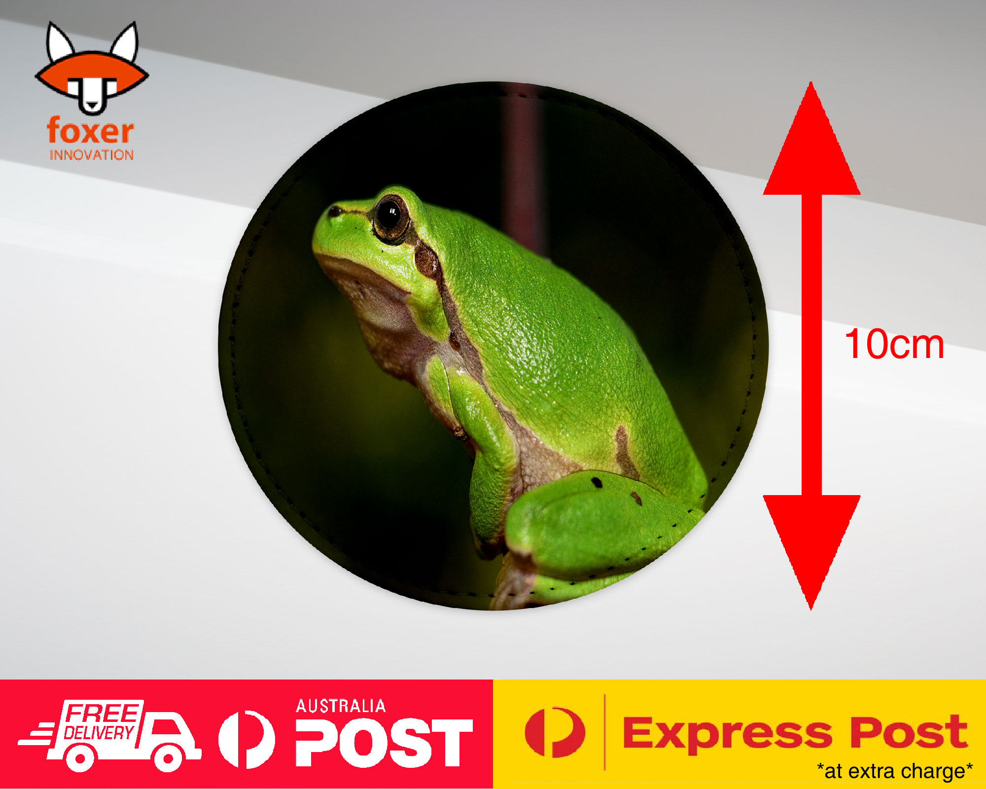 COASTER COFFEE DRINKING MAT|FROG TOAD AMPHIBIANS REPTILE #13