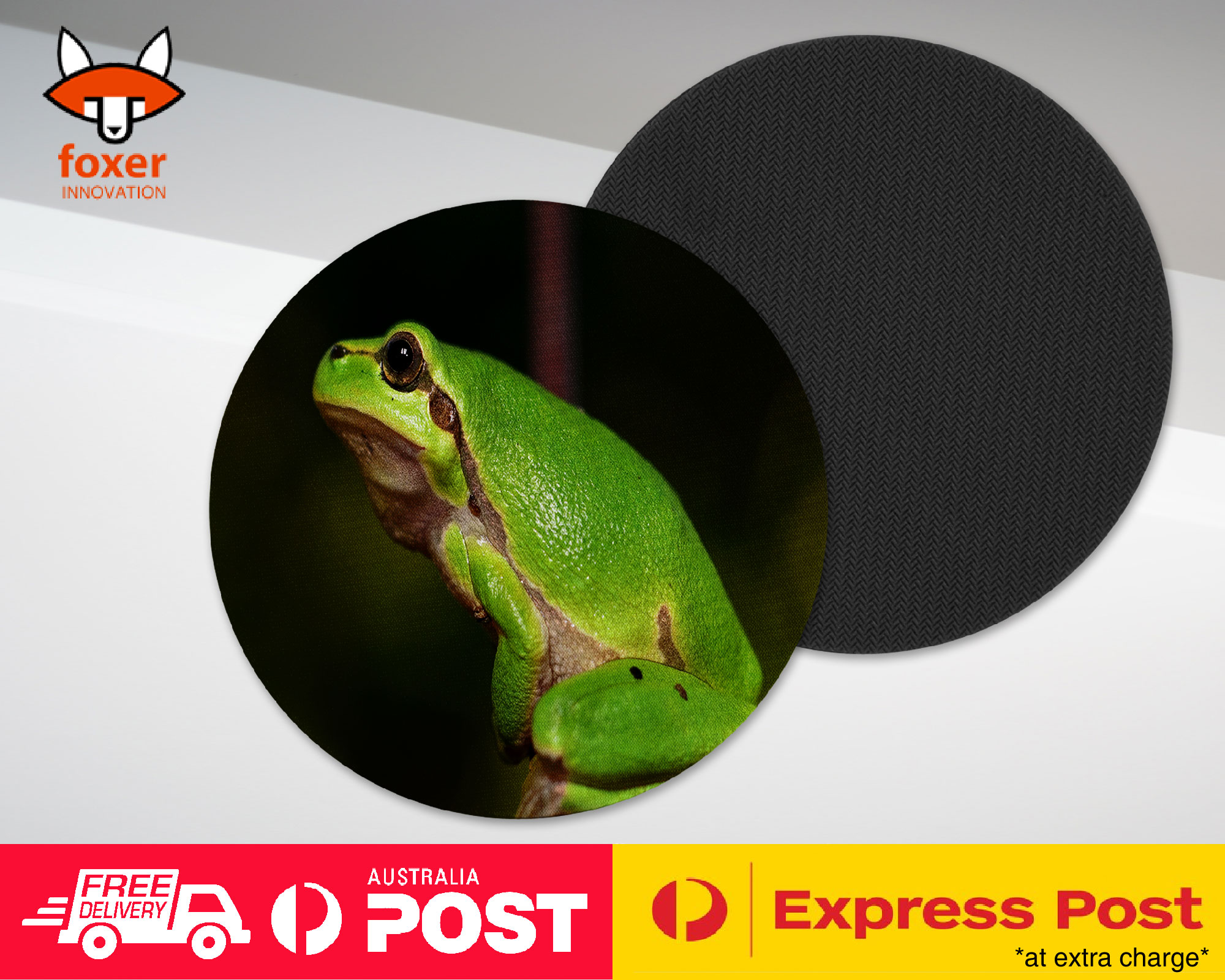 COASTER COFFEE DRINKING MAT|FROG TOAD AMPHIBIANS REPTILE #13