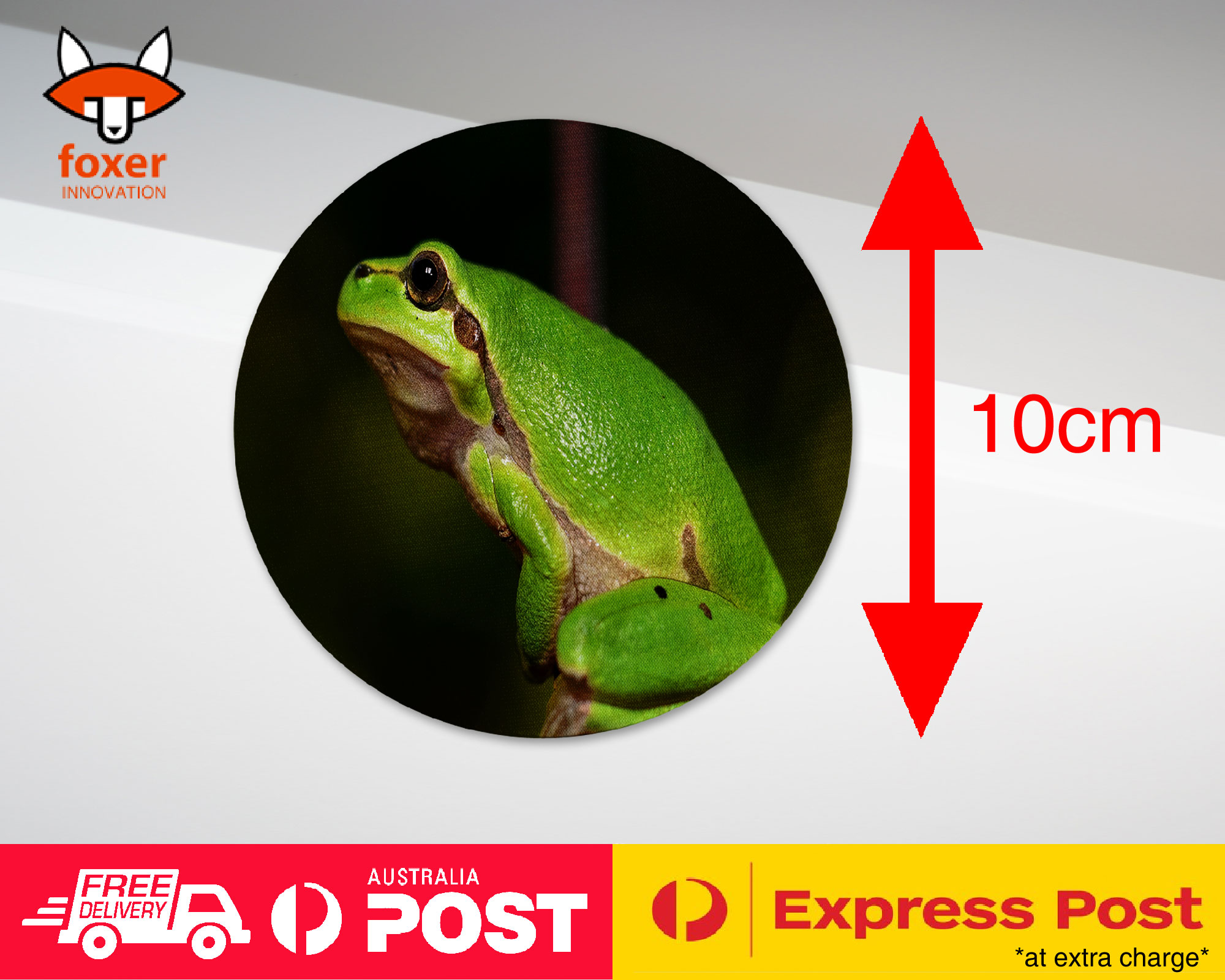 COASTER COFFEE DRINKING MAT|FROG TOAD AMPHIBIANS REPTILE #13