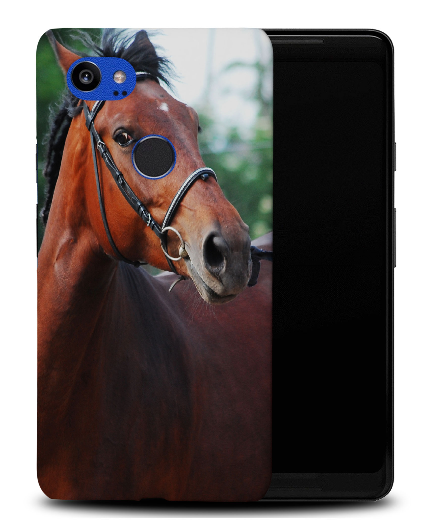CASE COVER FOR GOOGLE PIXEL|BEAUTIFUL BROWN HORSE ANIMAL #6 - Picture 8 of 11