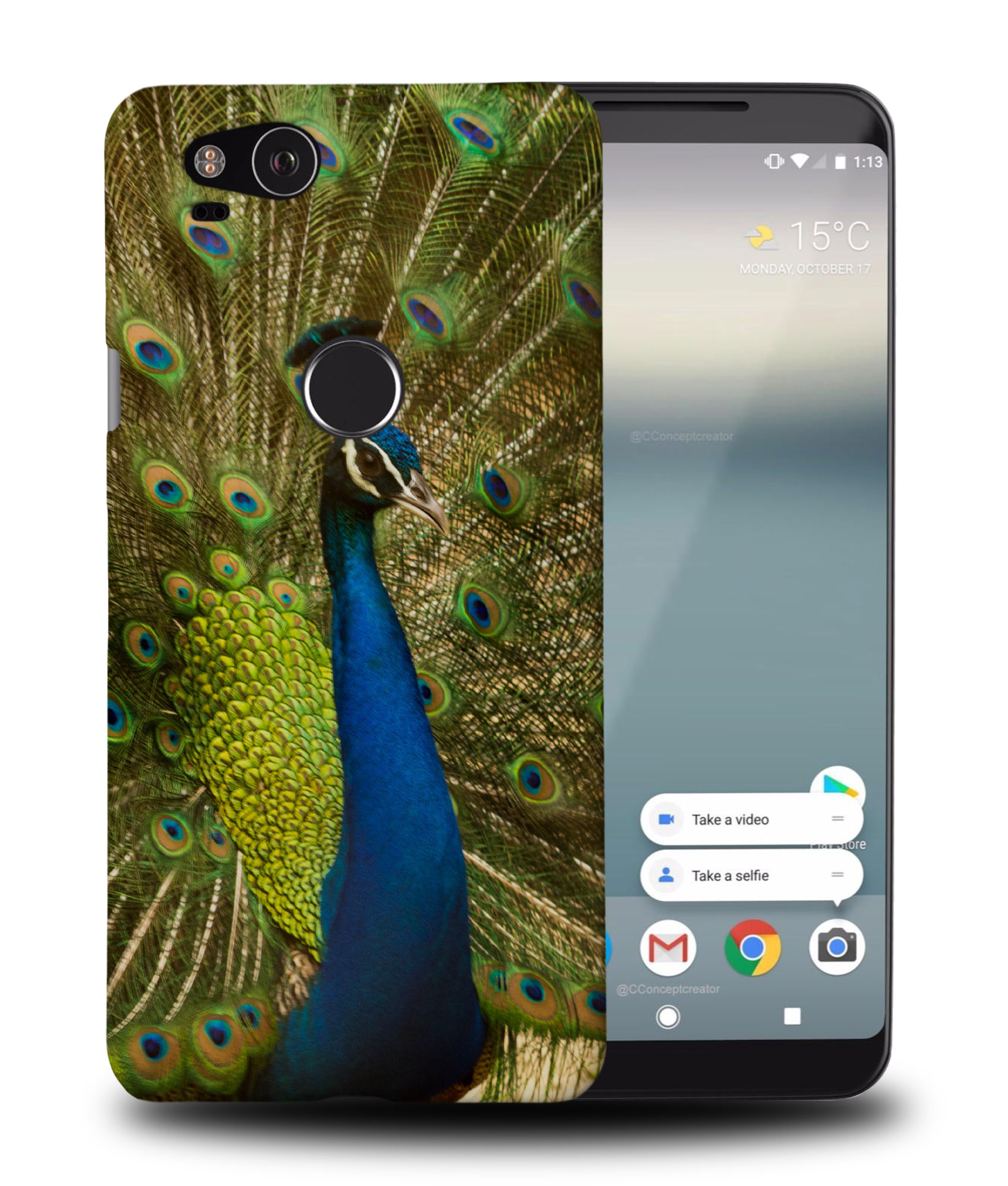 CASE COVER FOR GOOGLE PIXEL|BEAUTIFUL PEACOCK BIRD #4 - Imagen 9 de 11
