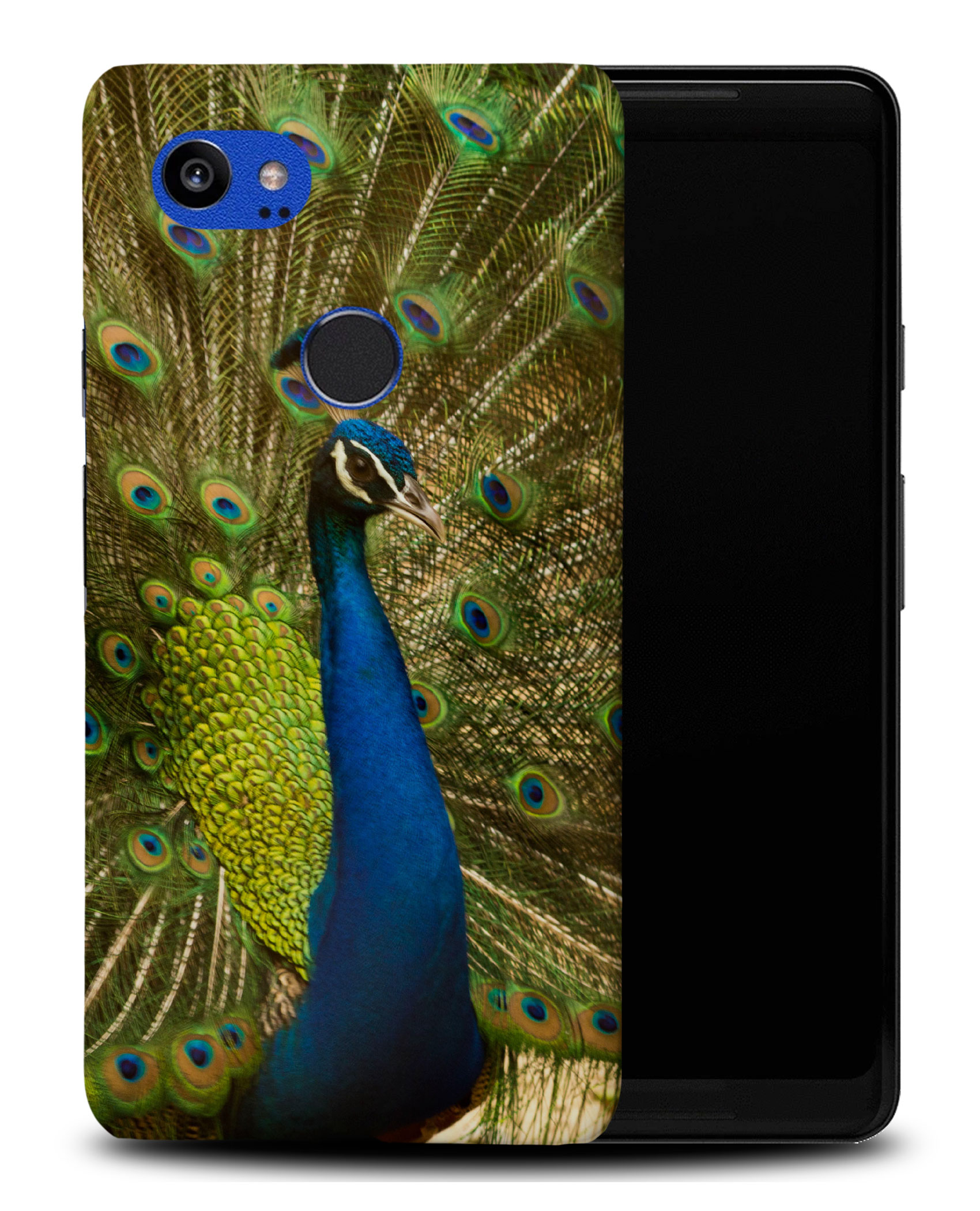 CASE COVER FOR GOOGLE PIXEL|BEAUTIFUL PEACOCK BIRD #4 - Imagen 8 de 11