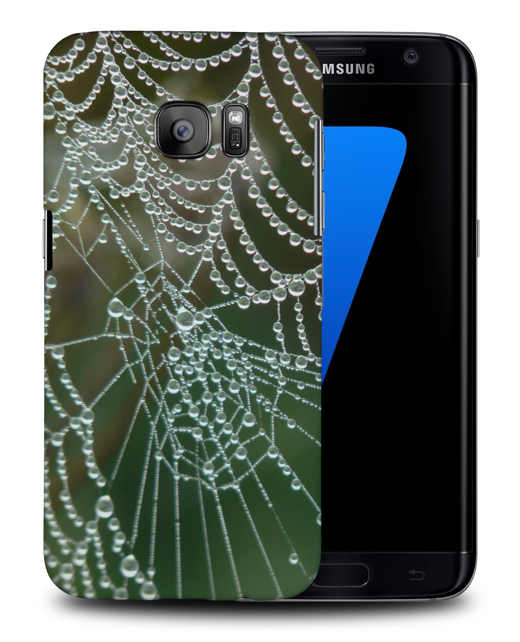 CASE COVER FOR SAMSUNG GALAXY|CREEPY INSECT SPIDER #4 - Picture 24 of 25