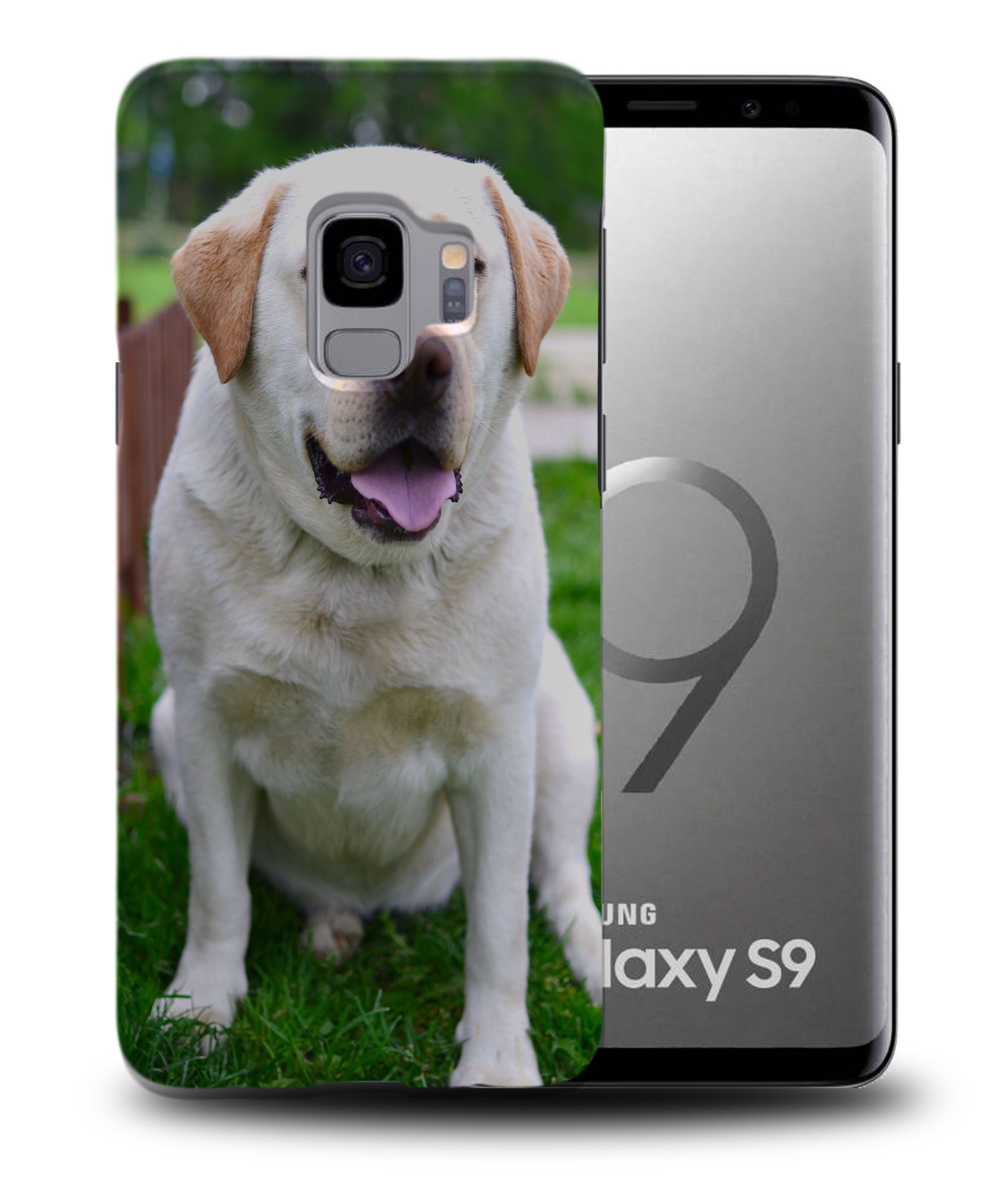CASE COVER FOR SAMSUNG GALAXY|CUTE ADORABLE LABRADOR DOG #8 - Picture 21 of 25