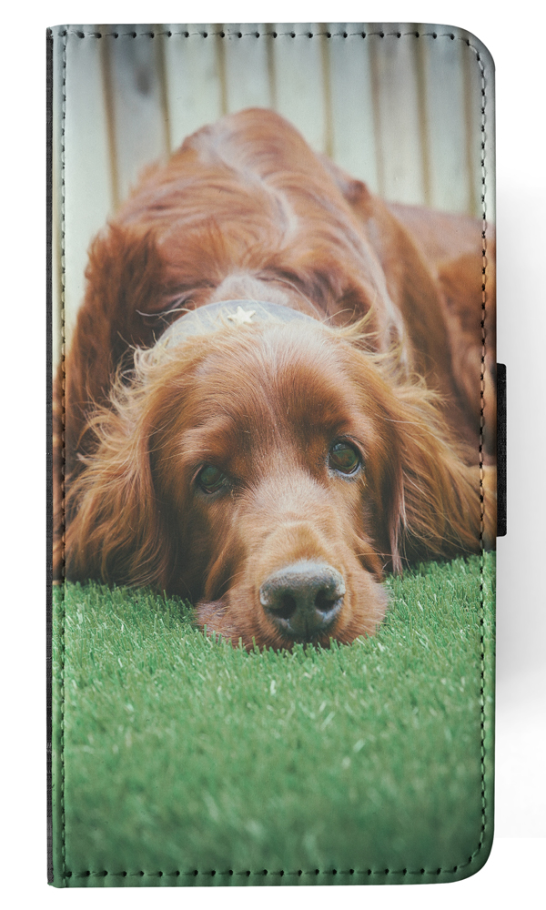 FLIP CASE FOR APPLE IPHONE|ADORABLE COCKER SPANIEL DOG #2 - Foto 95 di 193