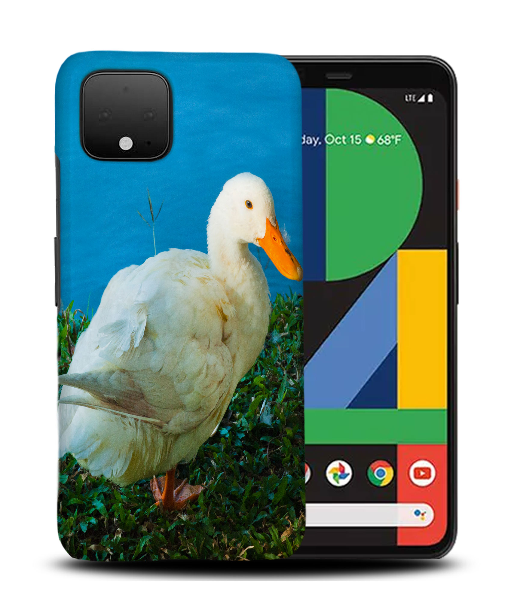 CASE COVER FOR GOOGLE PIXEL|CUTE WHITE GOOSE BIRD #2 - Picture 5 of 11