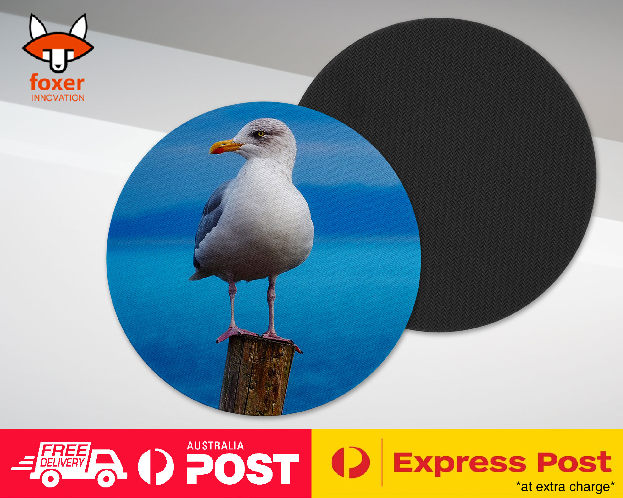 COASTER COFFEE DRINKING MAT|SEAGULL GULL BIRD SEABIRD #3