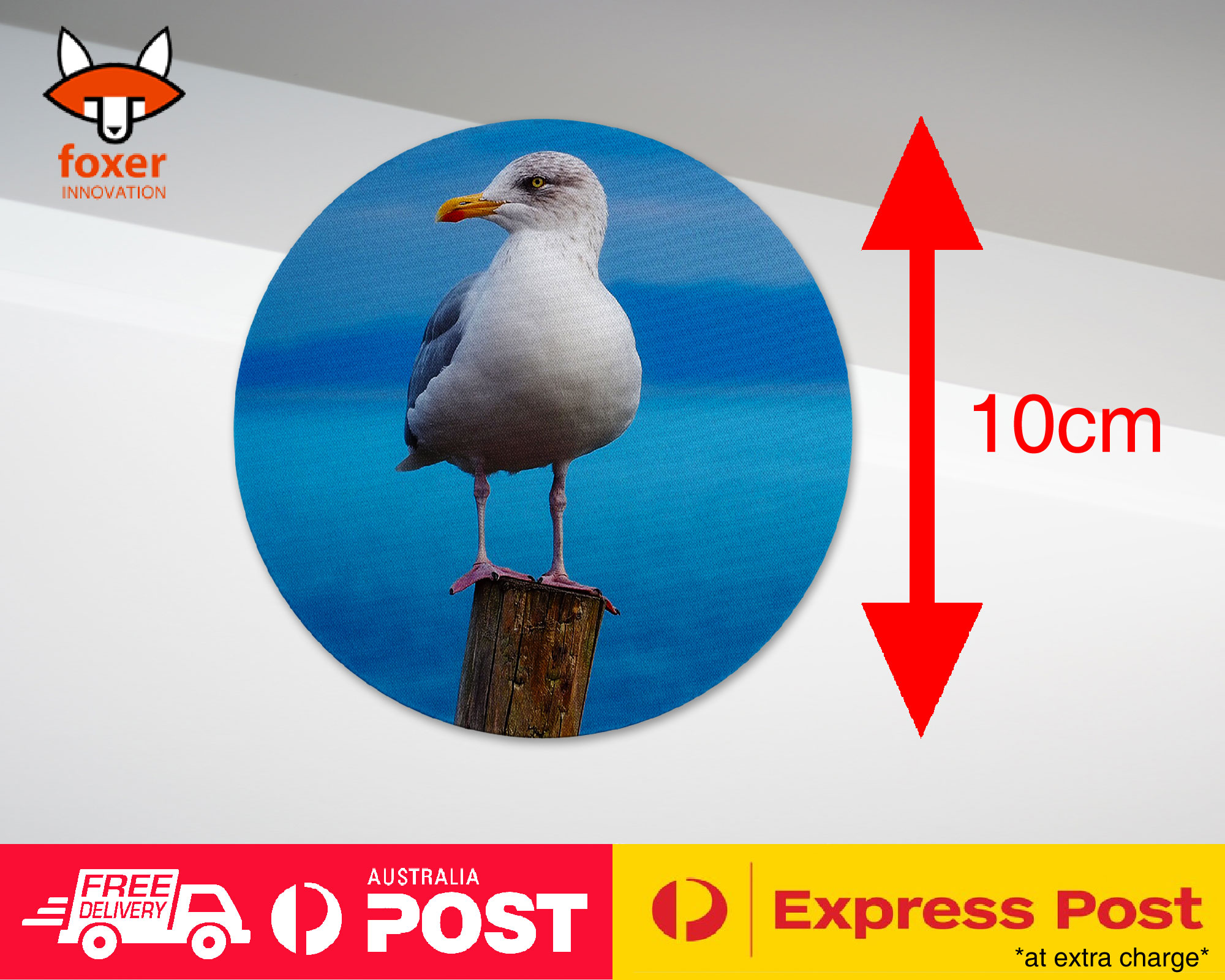 COASTER COFFEE DRINKING MAT|SEAGULL GULL BIRD SEABIRD #3