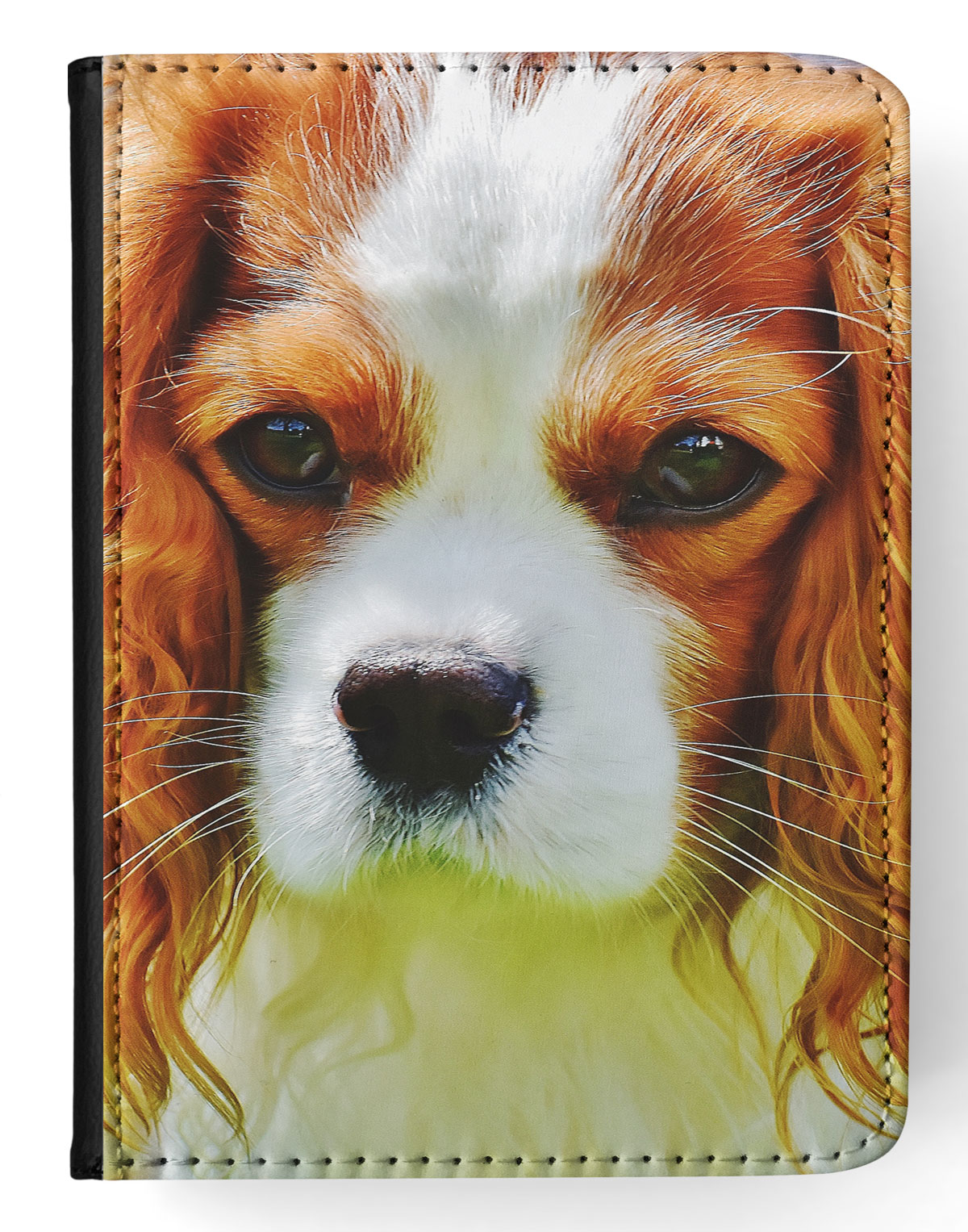 FUNDA FUNDA PARA APPLE IPAD|LINDO PERRO CHARLES COCKER SPANIEL 1 - Imagen 22 de 55