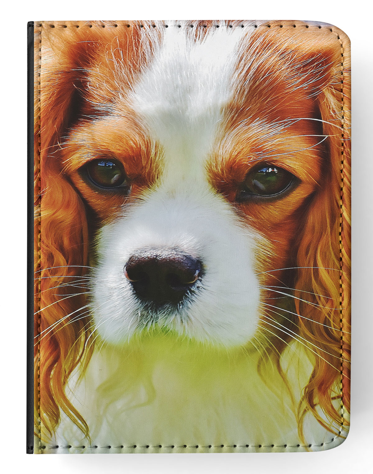 FUNDA FUNDA PARA APPLE IPAD|LINDO PERRO CHARLES COCKER SPANIEL 1 - Imagen 12 de 55