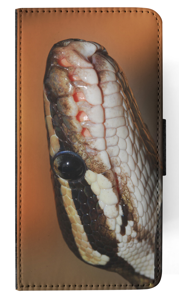FLIP CASE FOR APPLE IPHONE|GREEN SLITHER SNAKE REPTILE #5 - Foto 95 di 193