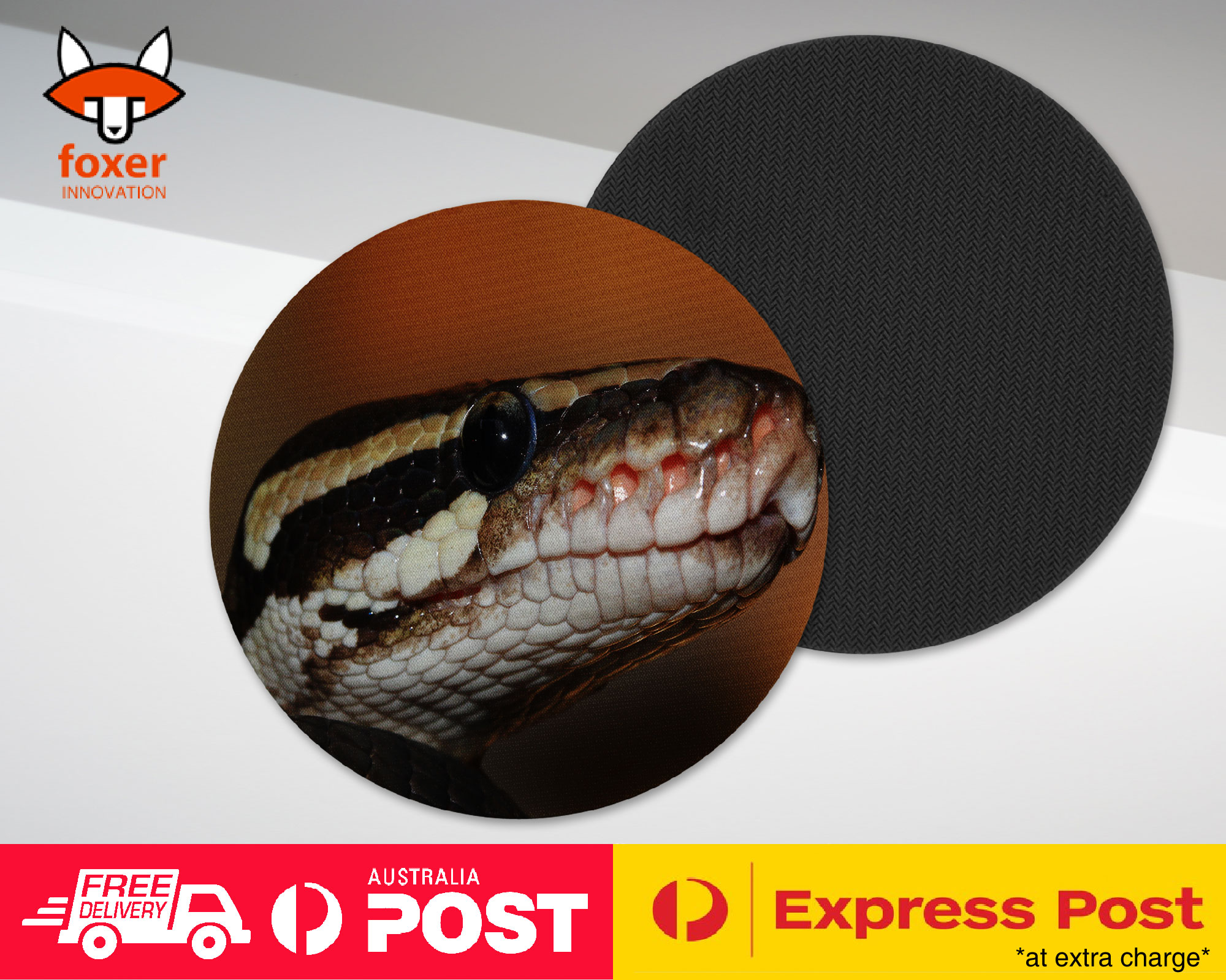 COASTER COFFEE DRINKING MAT|GREEN SLITHER SNAKE REPTILE #5