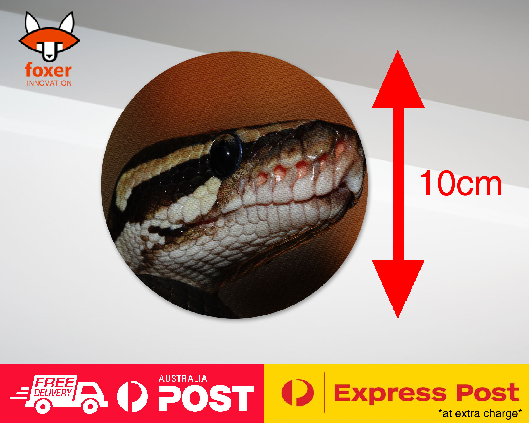 COASTER COFFEE DRINKING MAT|GREEN SLITHER SNAKE REPTILE #5