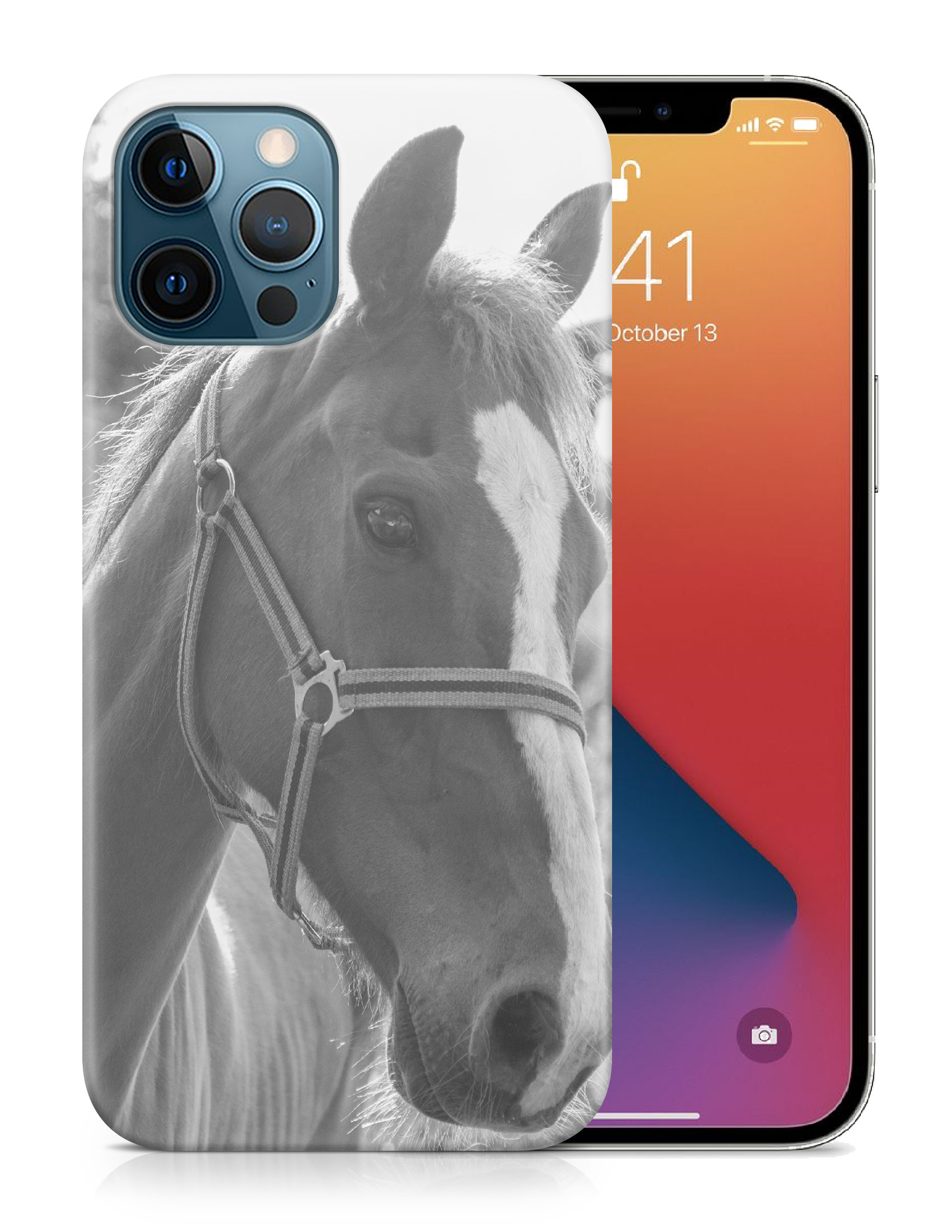 CASE COVER FOR APPLE IPHONE|BEAUTIFUL MAJESTIC HORSE ANIMAL 7 - Bild 19 von 44