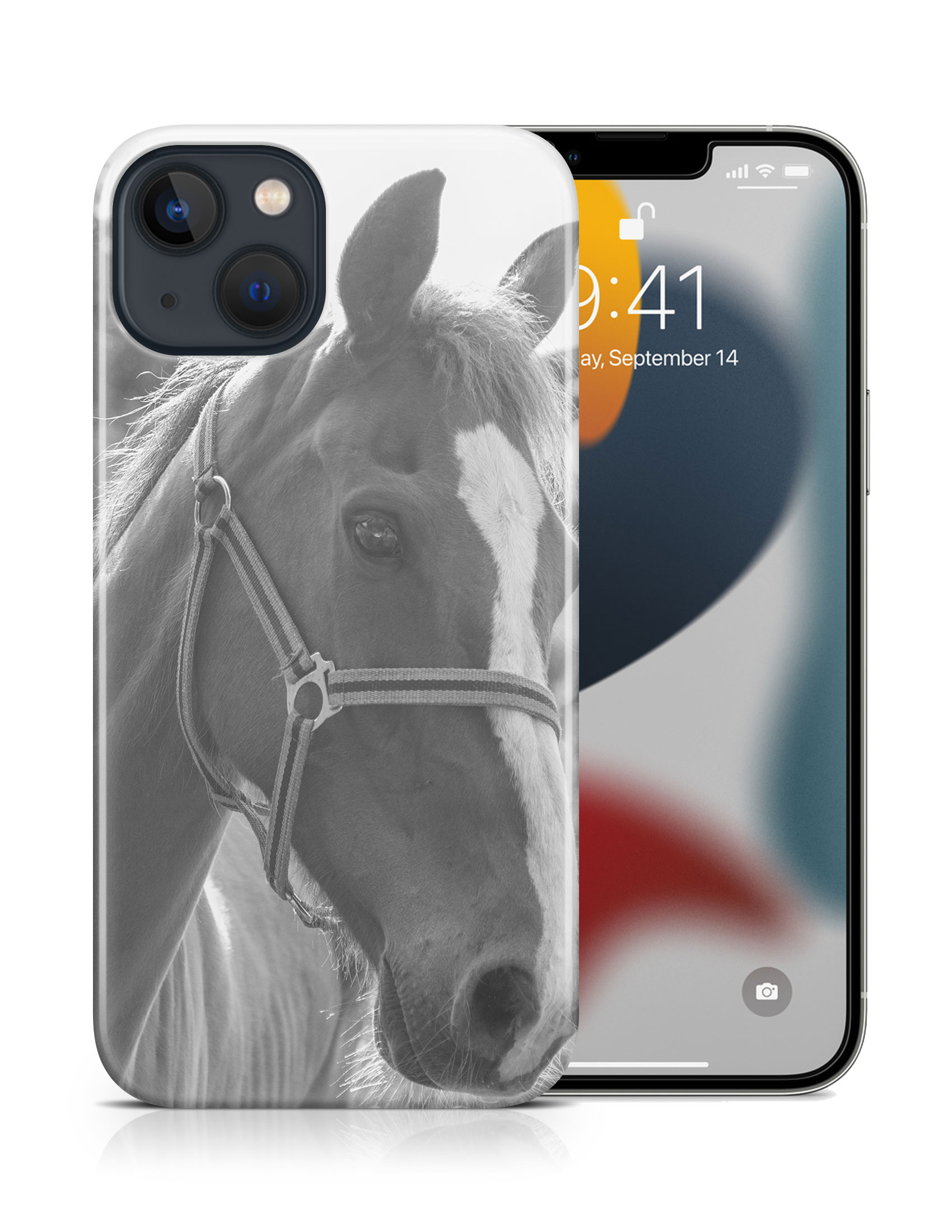 CASE COVER FOR APPLE IPHONE|BEAUTIFUL MAJESTIC HORSE ANIMAL 7 - Bild 16 von 44