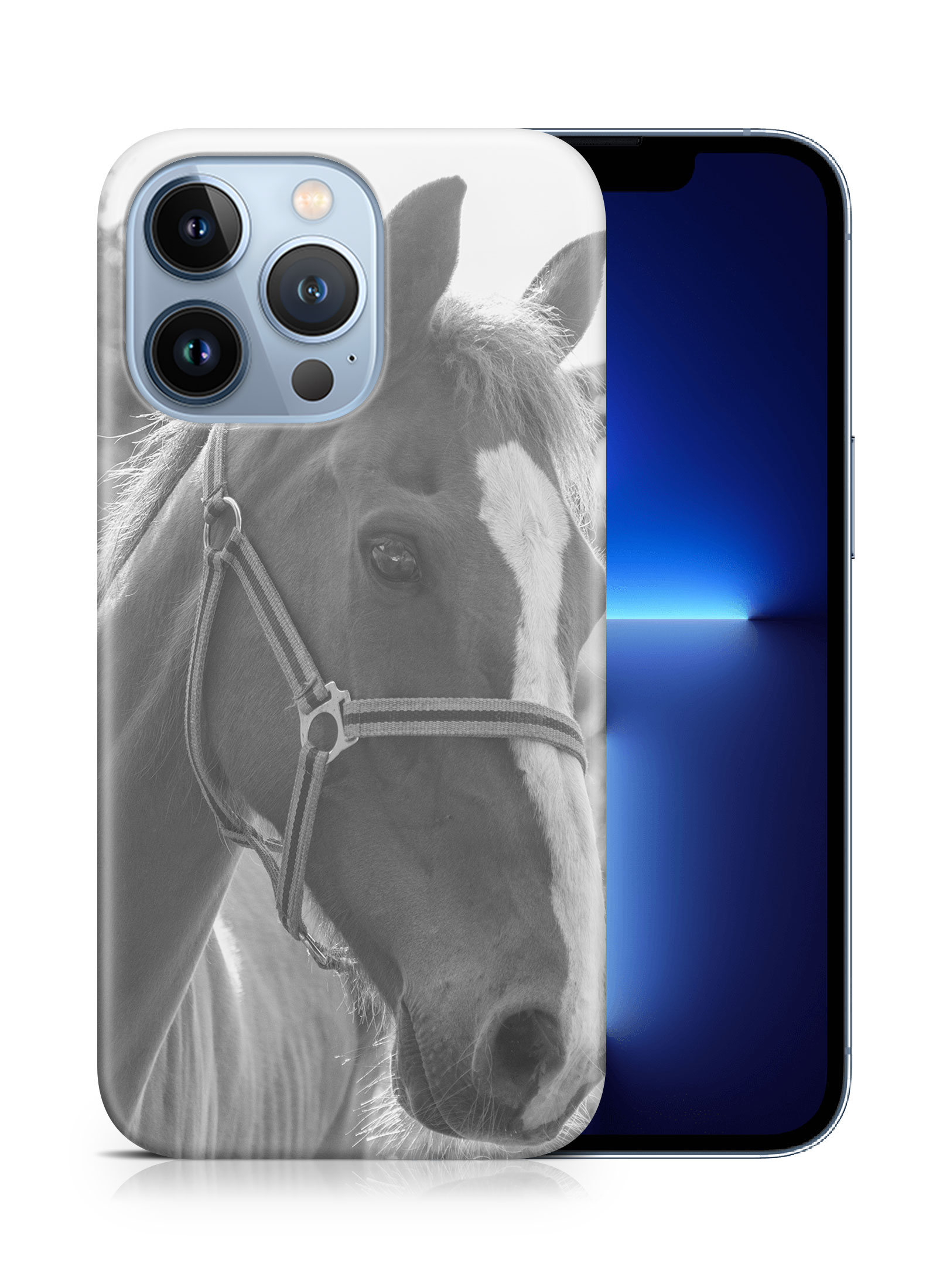 CASE COVER FOR APPLE IPHONE|BEAUTIFUL MAJESTIC HORSE ANIMAL 7 - Bild 15 von 44