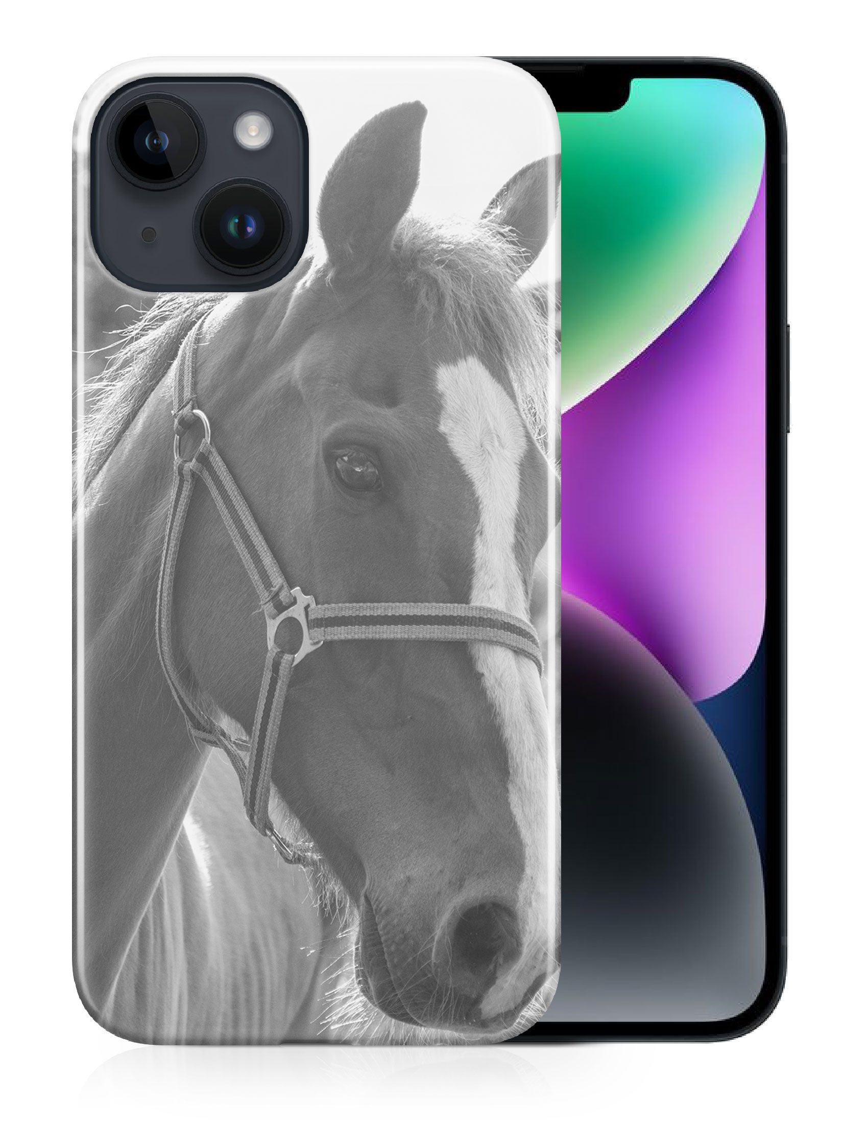 CASE COVER FOR APPLE IPHONE|BEAUTIFUL MAJESTIC HORSE ANIMAL 7 - Bild 12 von 44