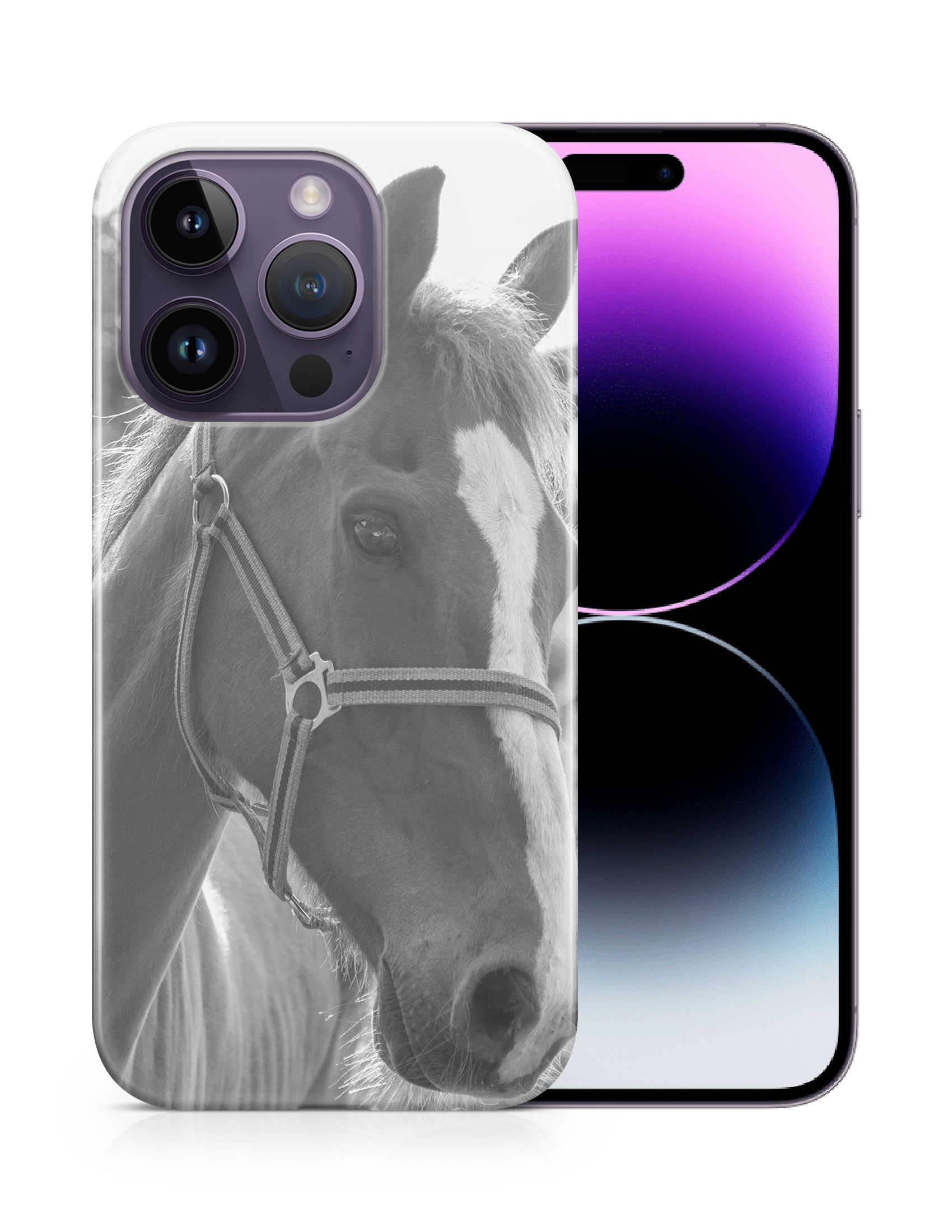 CASE COVER FOR APPLE IPHONE|BEAUTIFUL MAJESTIC HORSE ANIMAL 7 - Bild 11 von 44