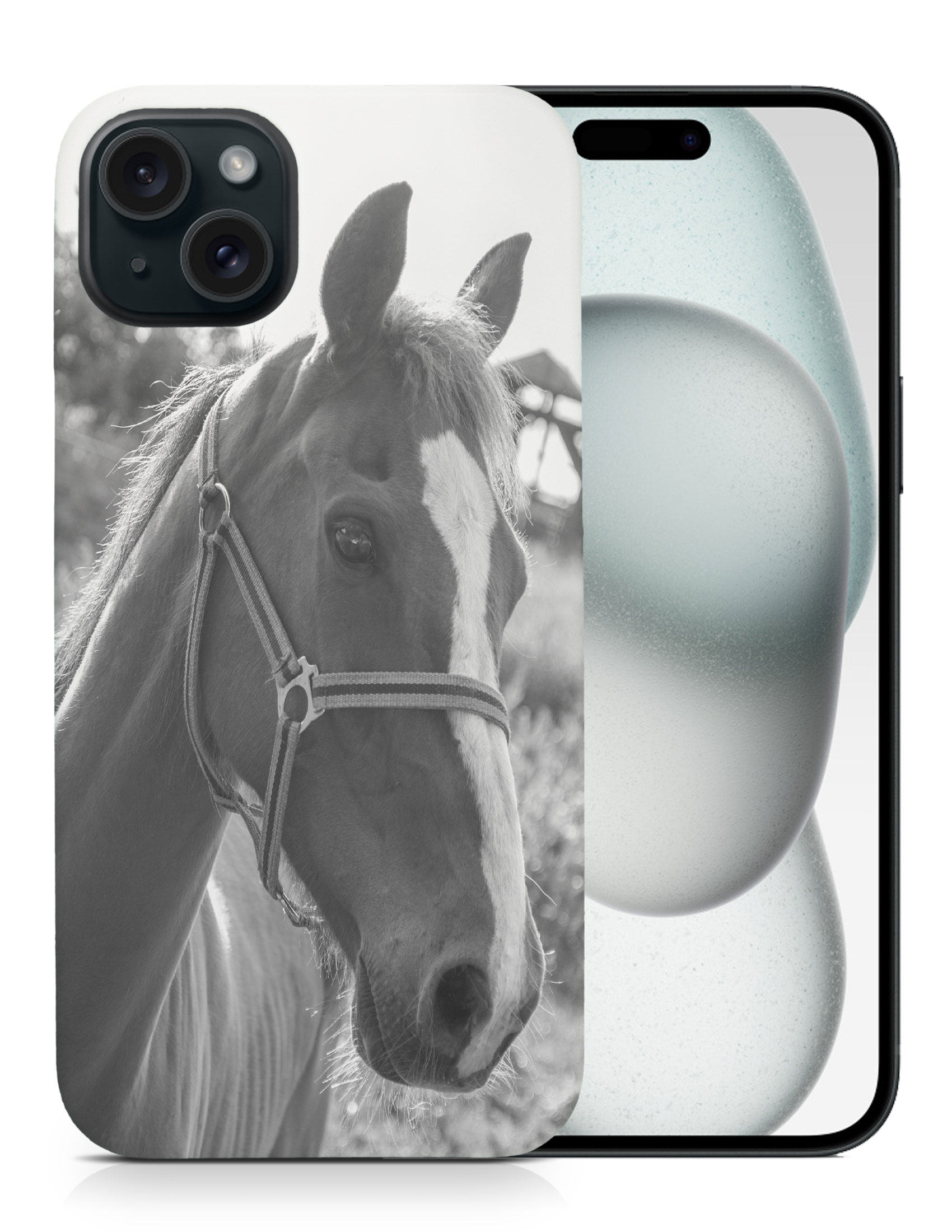 CASE COVER FOR APPLE IPHONE|BEAUTIFUL MAJESTIC HORSE ANIMAL 7 - Bild 8 von 44